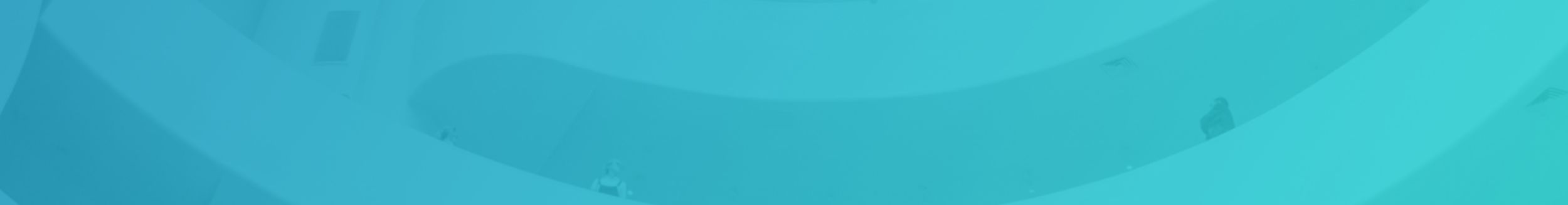 Banner Teal.png