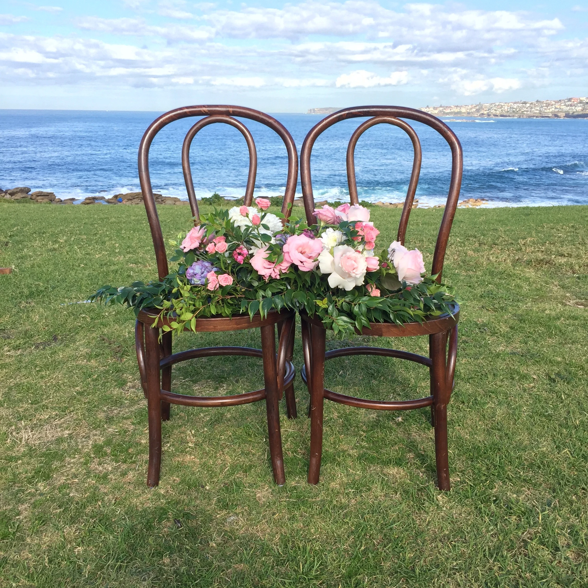 clovelly beach