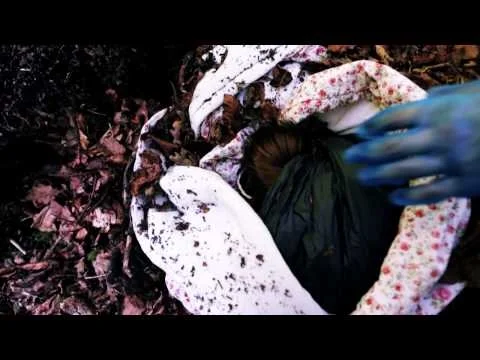 A TOWN AND COUNTRY MURDER