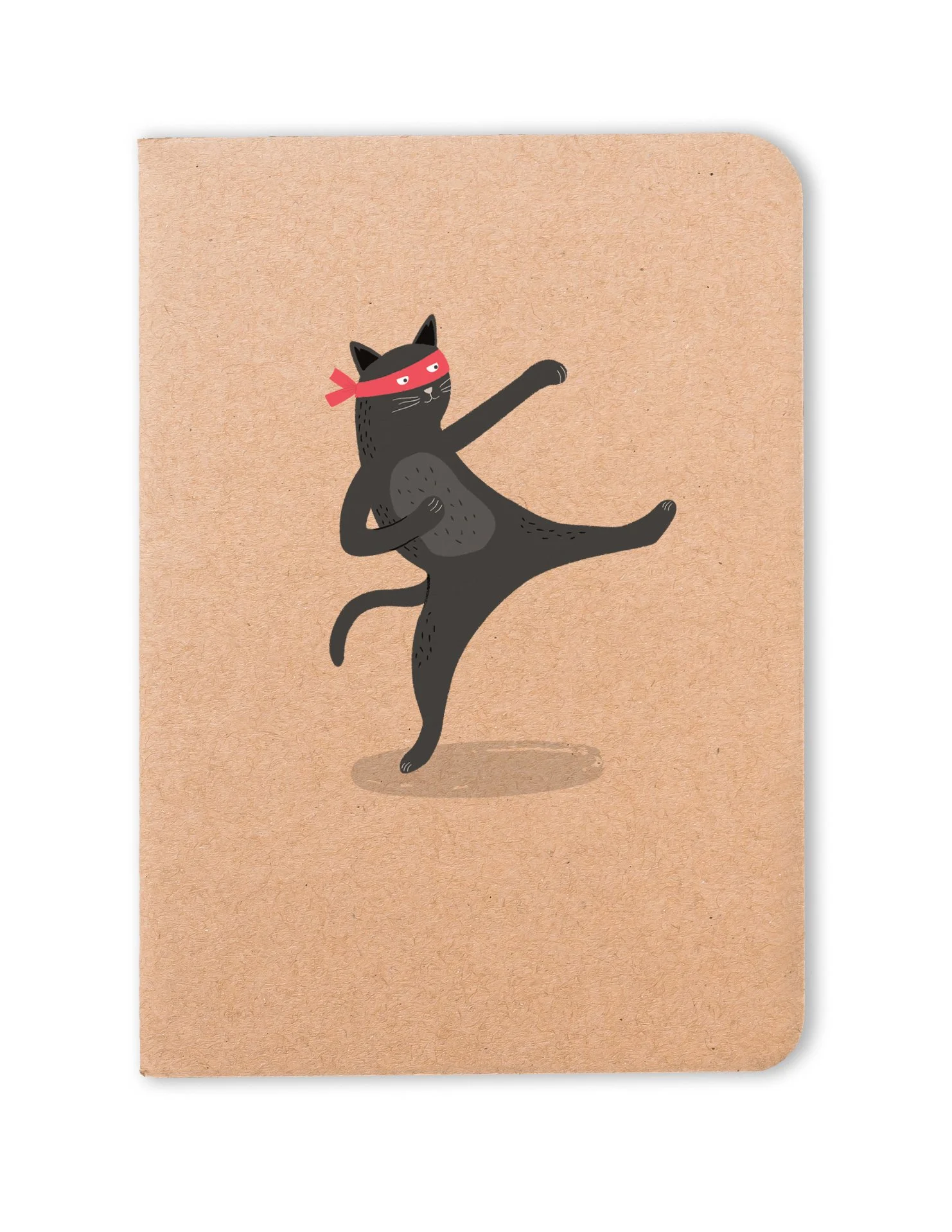 TPPPN05_NinjaCat.jpg