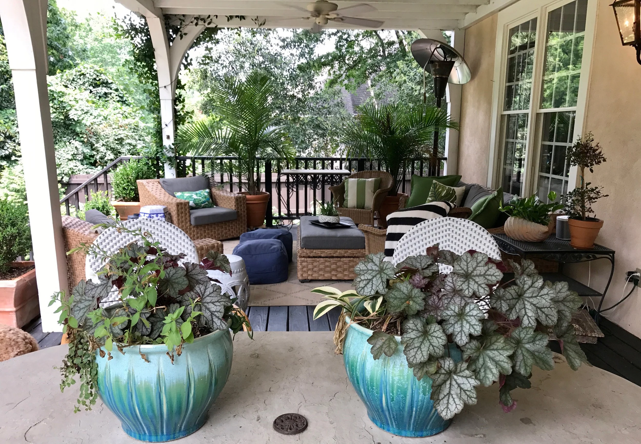 Indestructable plants