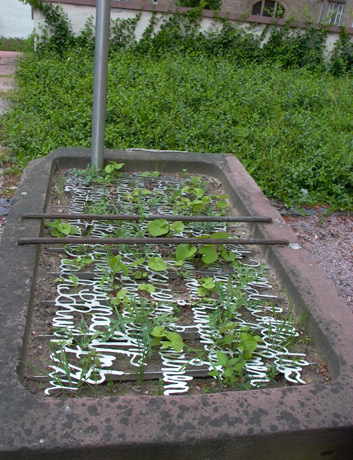 naturgesetz2.jpg