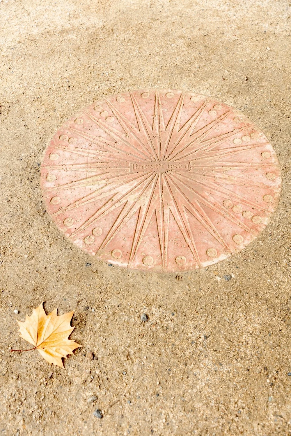 ©JanelleLow_2026_WestSpace_TinaStefanou_CourtyardInstallation_ScreenRes-6.jpg
