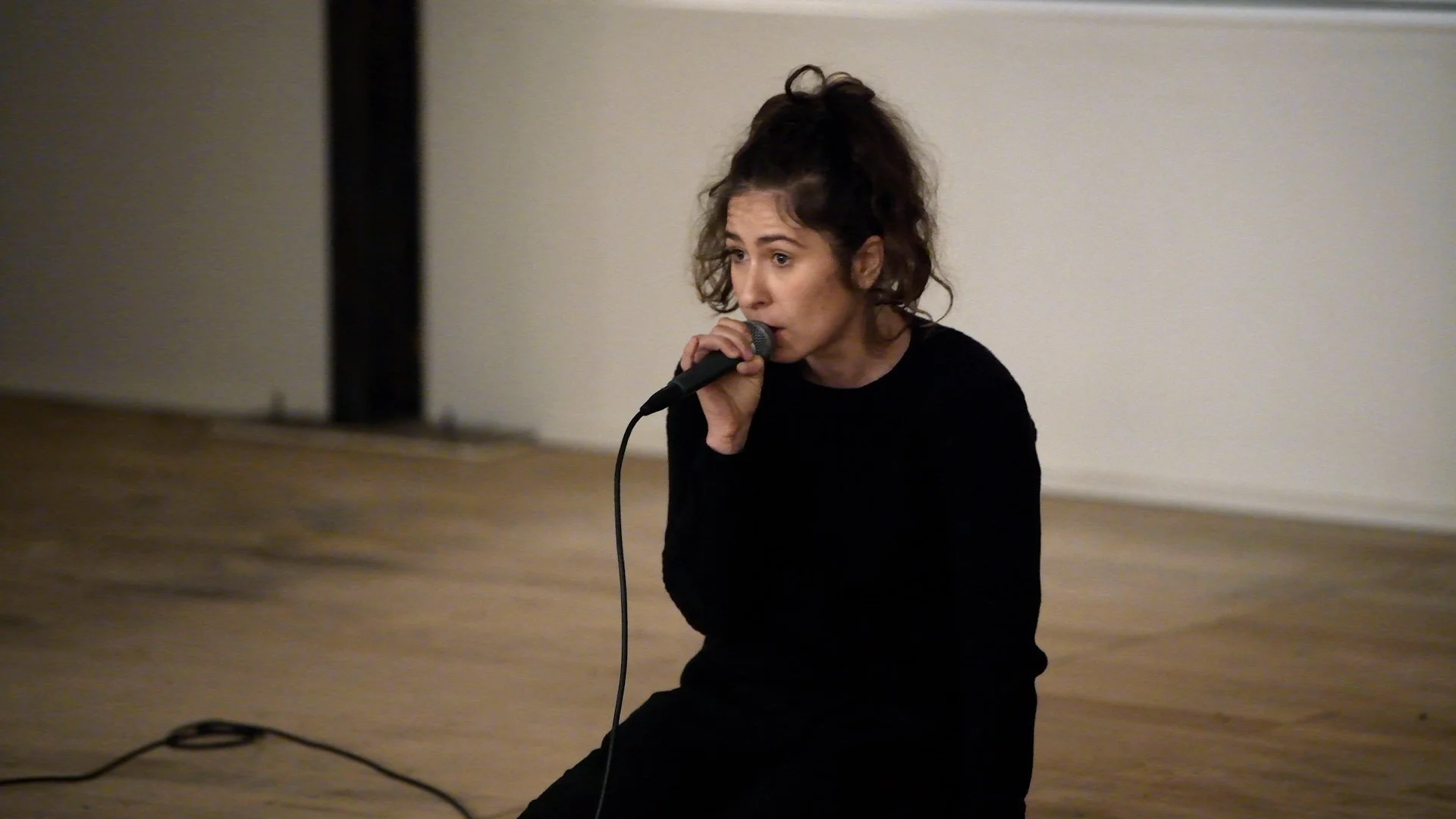 Artist as Projector