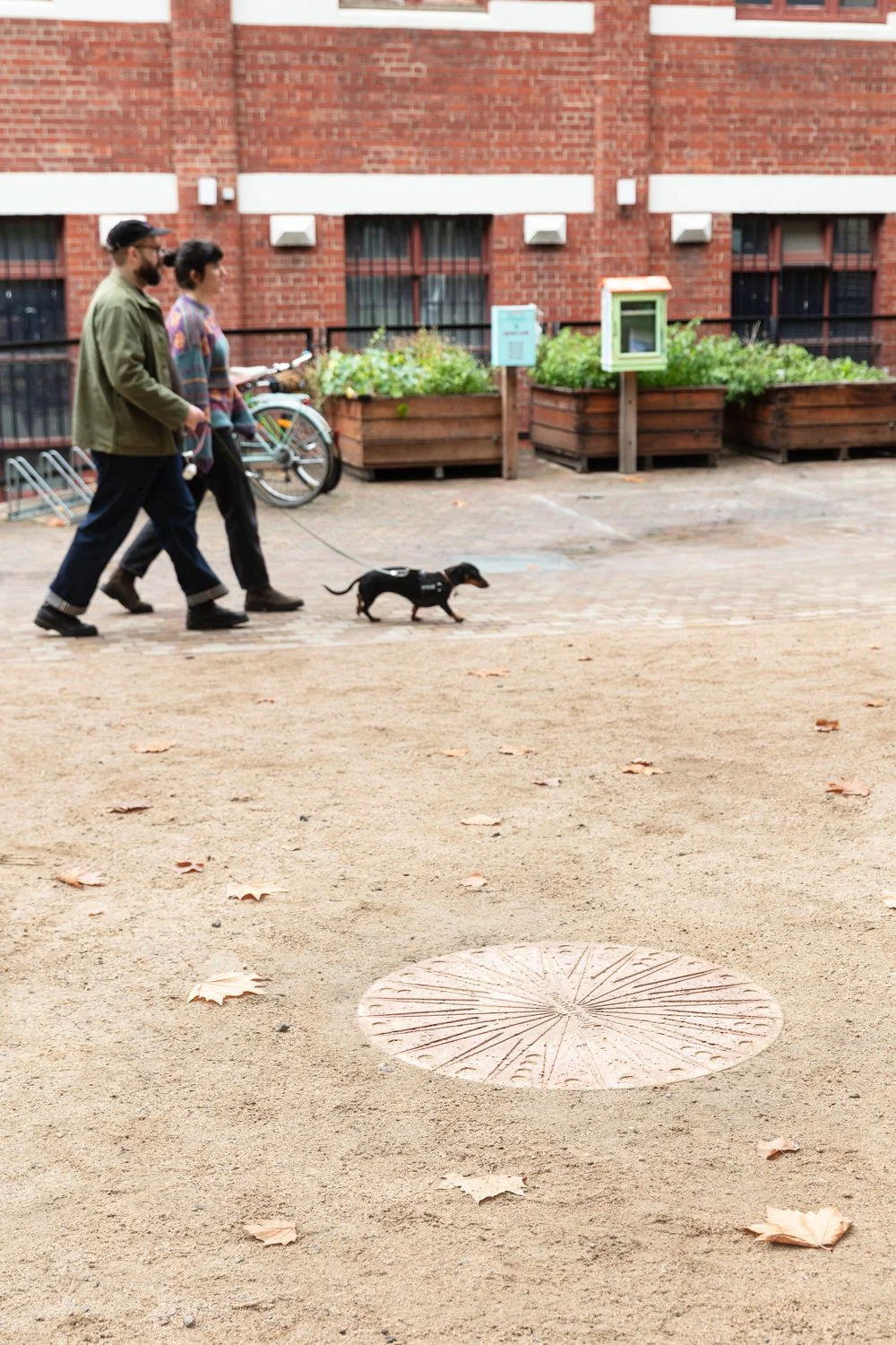 ©JanelleLow_2026_WestSpace_TinaStefanou_CourtyardInstallation_ScreenRes-8.jpg