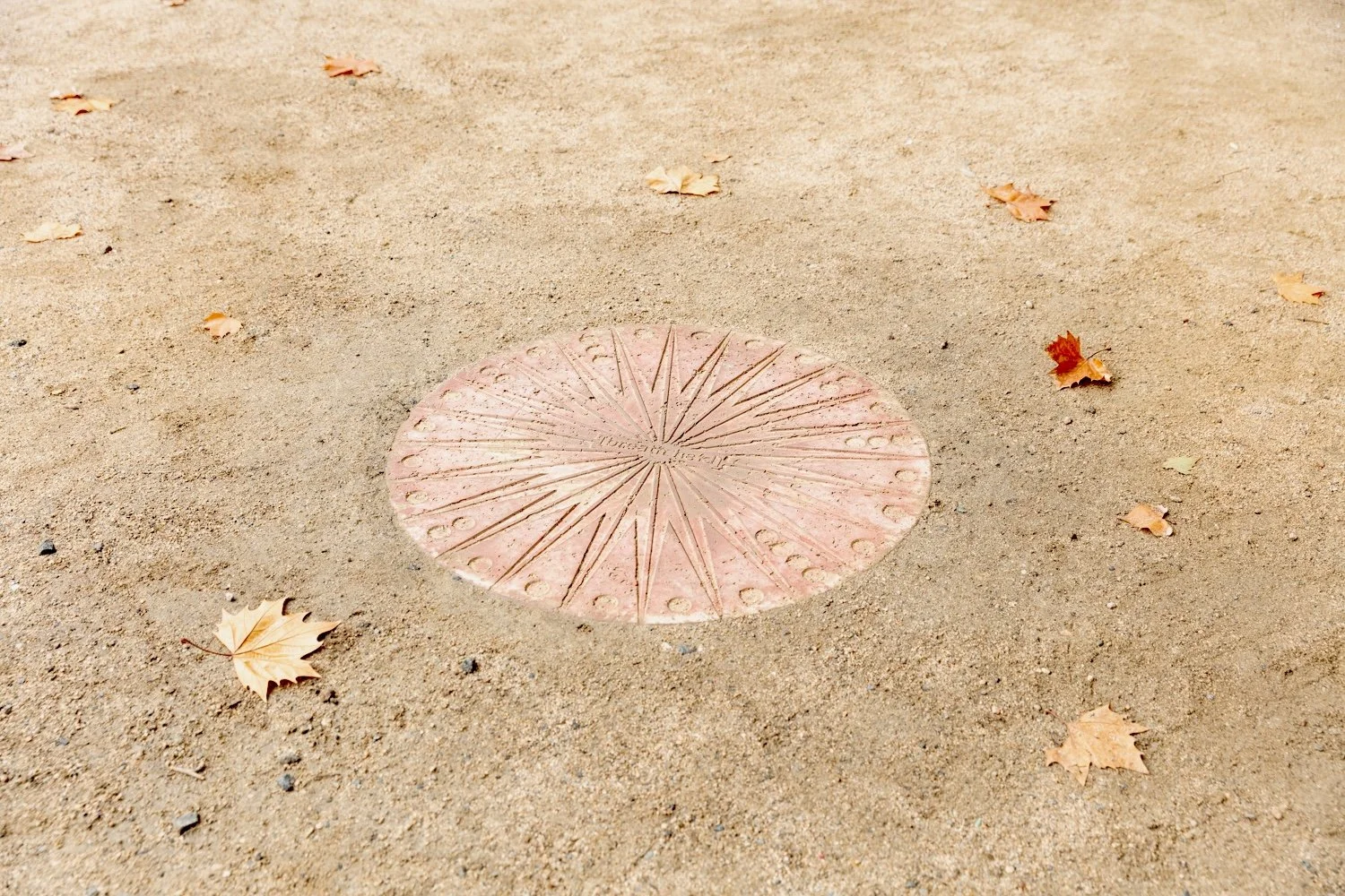 ©JanelleLow_2026_WestSpace_TinaStefanou_CourtyardInstallation_ScreenRes-5.jpg