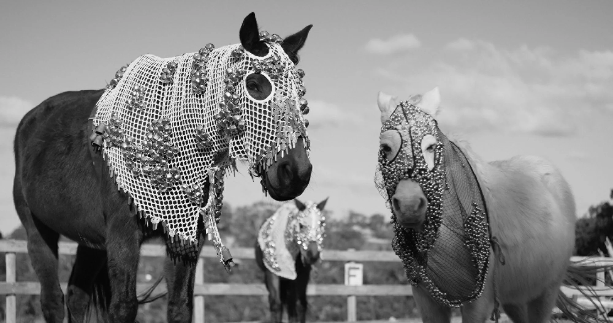 Horse Power