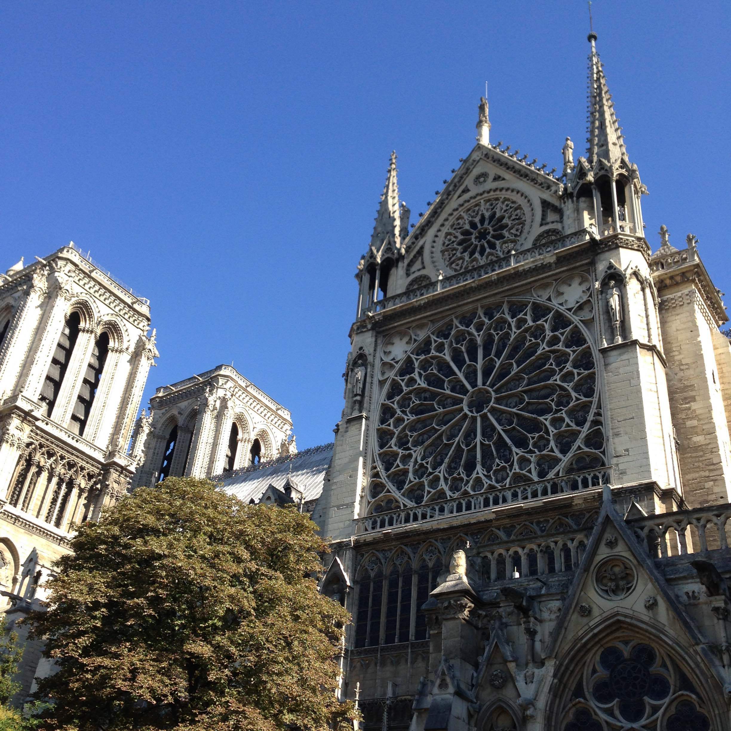 Surface of the Sun...otherwise known as Paris in August 