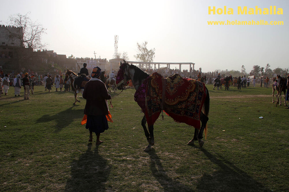 WM IMG_2455 Singh with a horse looking at crowd from behind auto contrast.jpg