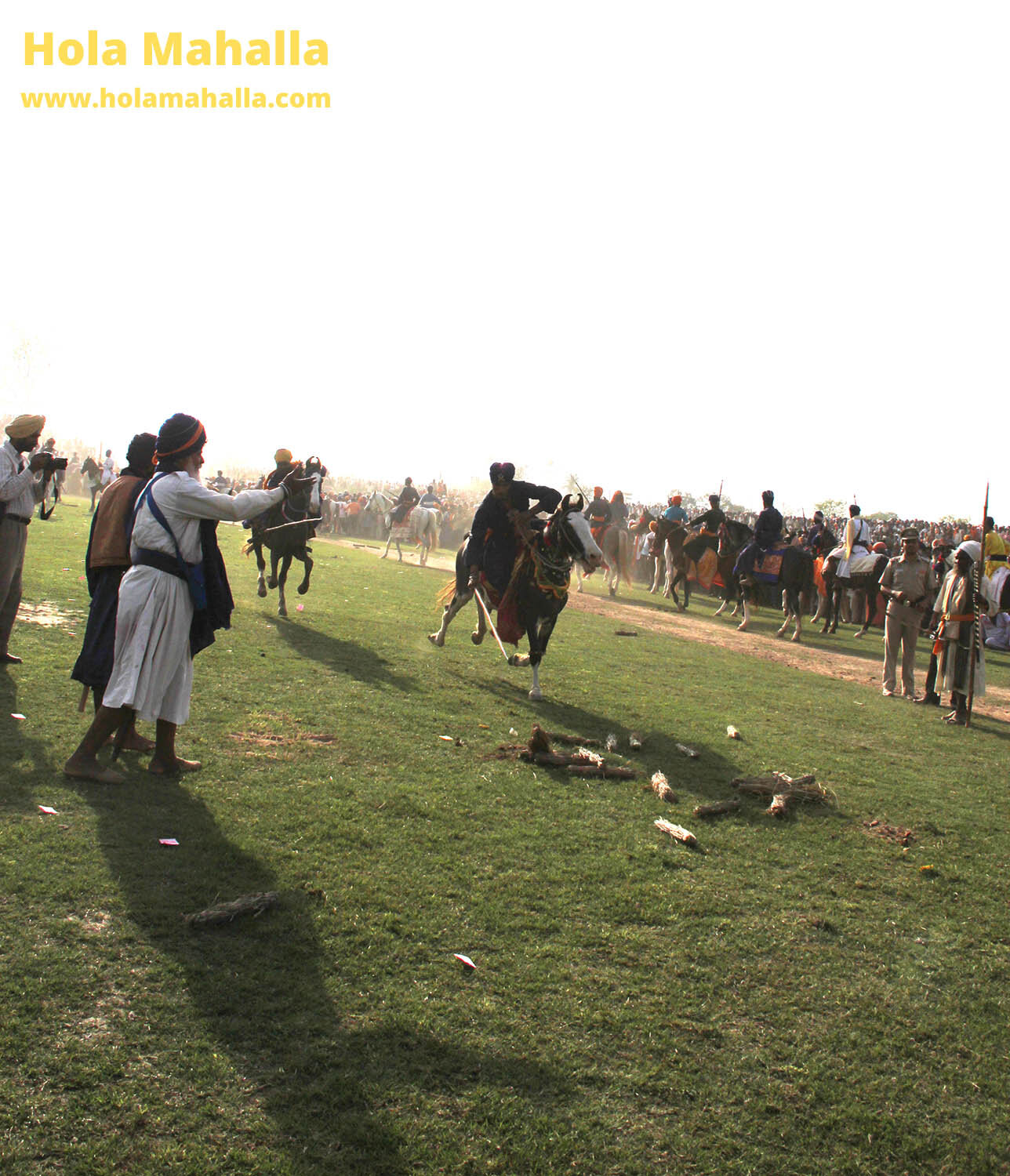 WM IMG_2312 tent pegging brigness 150 exp +1.01 crop.jpg