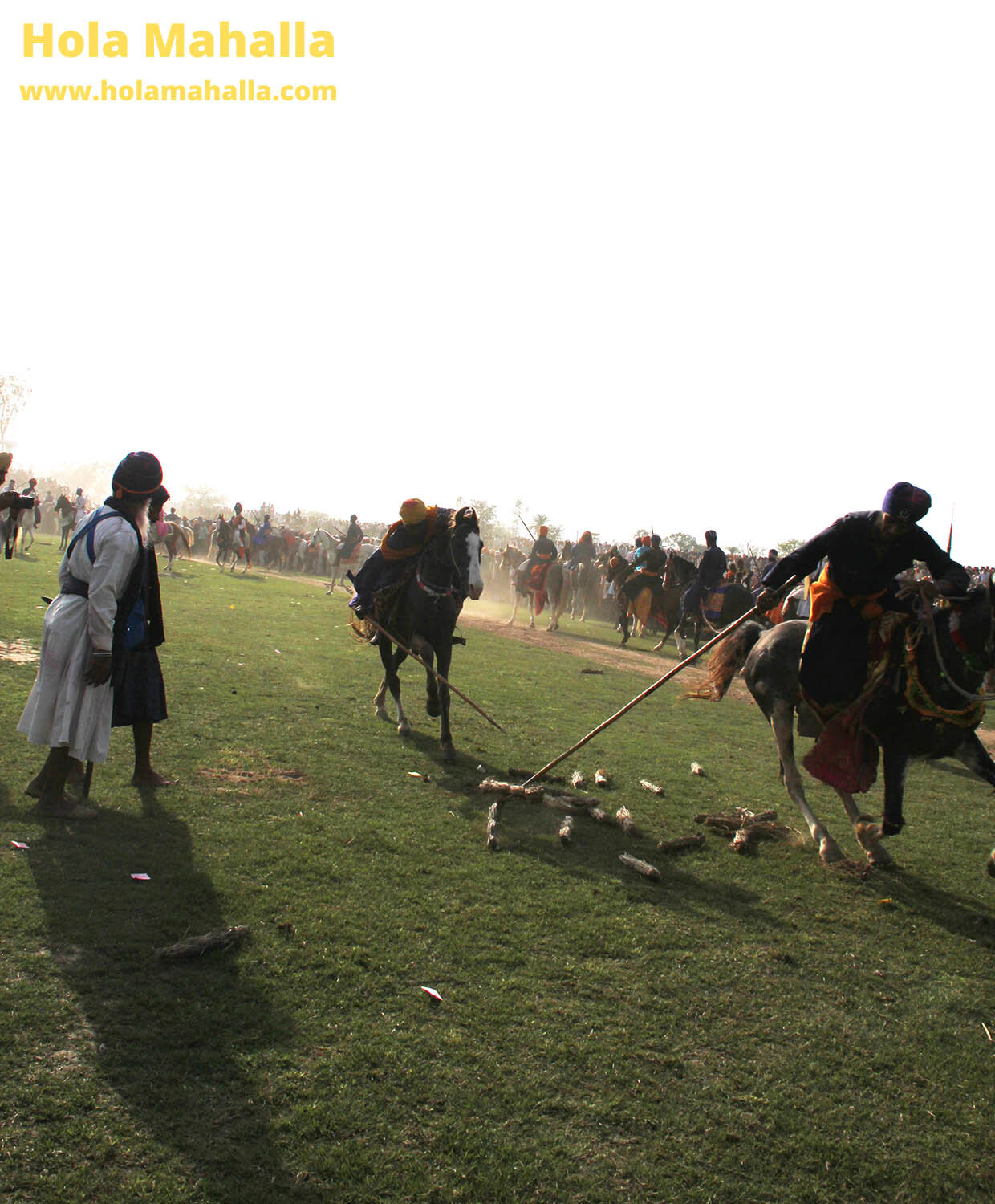 WM IMG_2314 tent pegging brightness 150 exp +0.38 crop.jpg