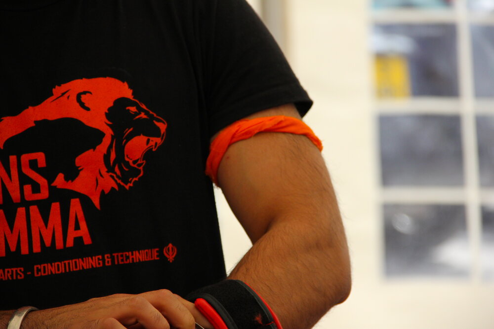 Lions MMA logo on tshirt IMG_7416.JPG