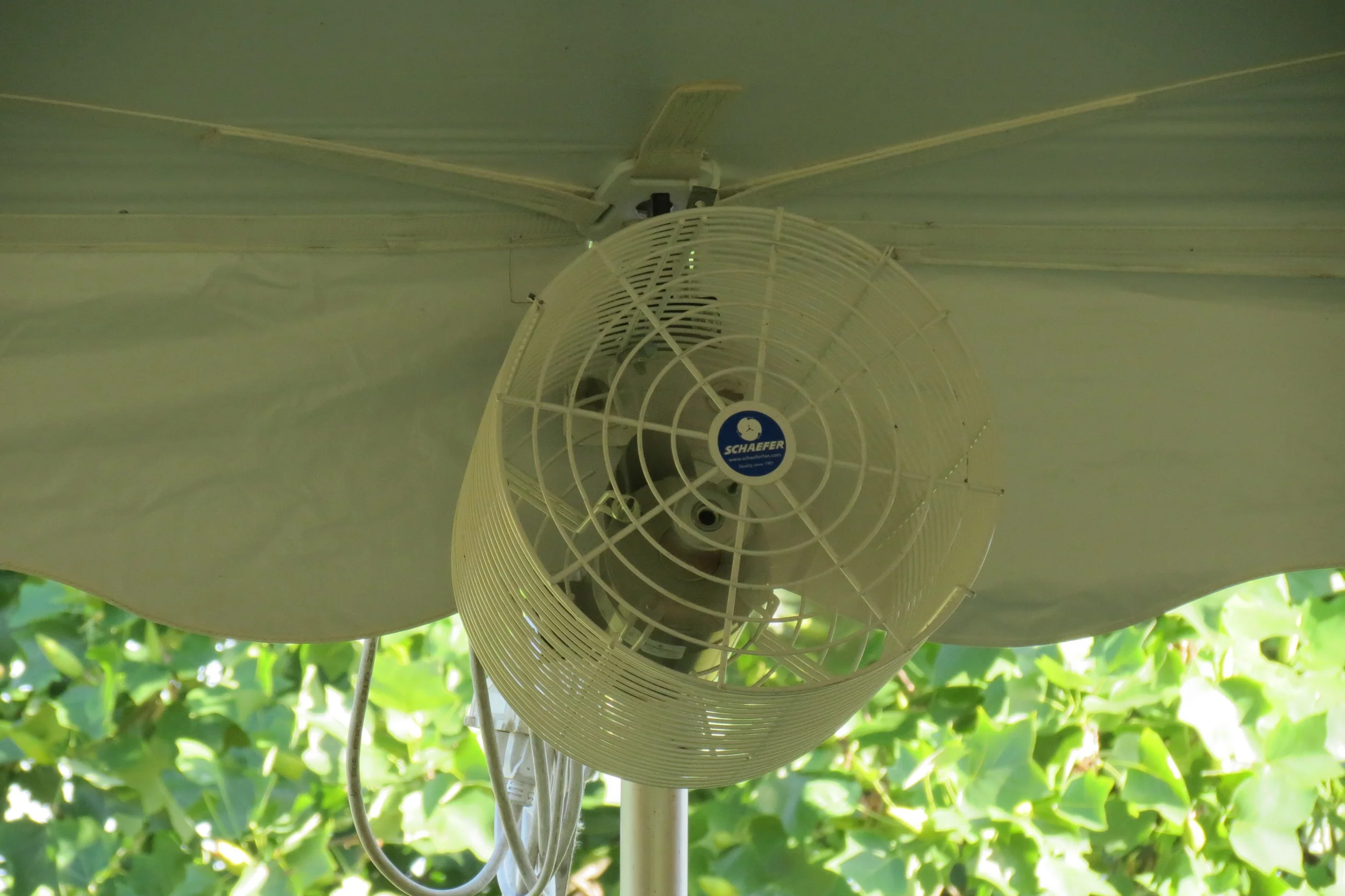 large tent fan
