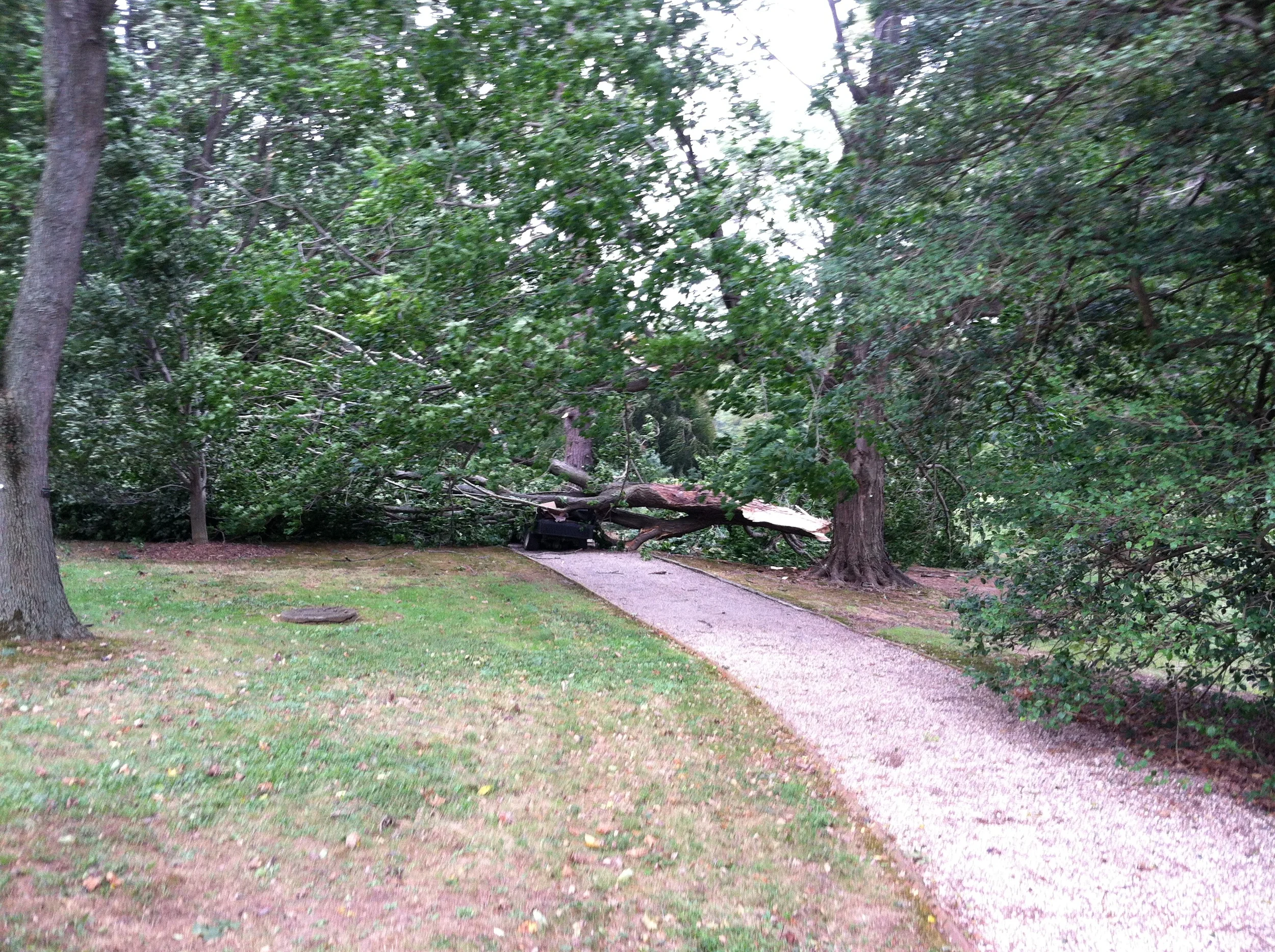 There were high winds during the installation
