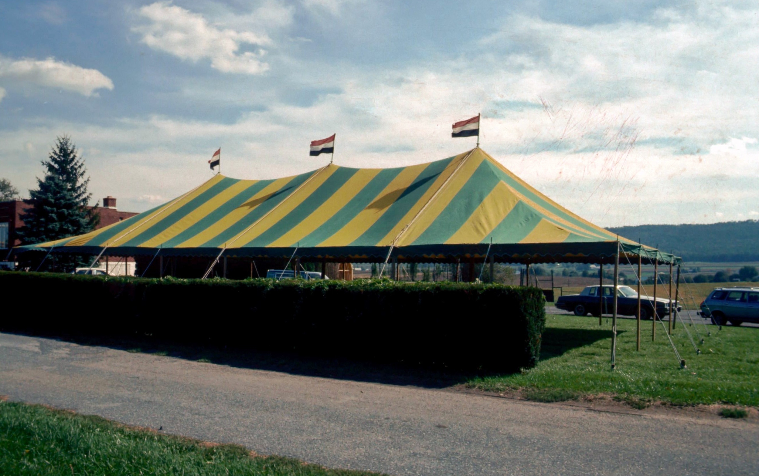  After gray and green tents, we bought green and yellow striped tents. 