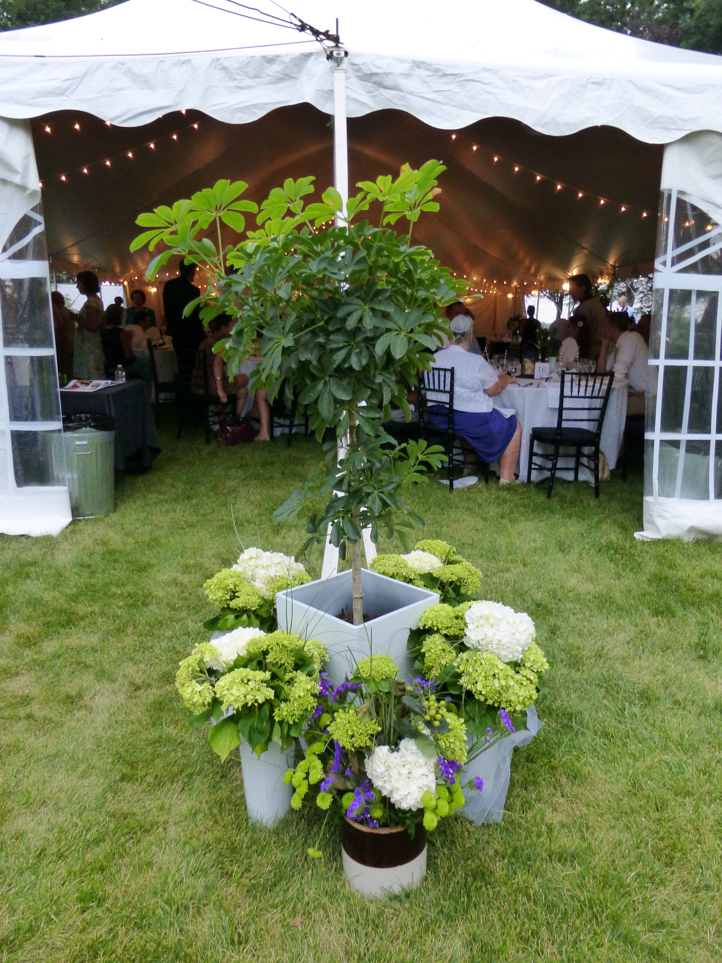 White wedding tent with cafe lights