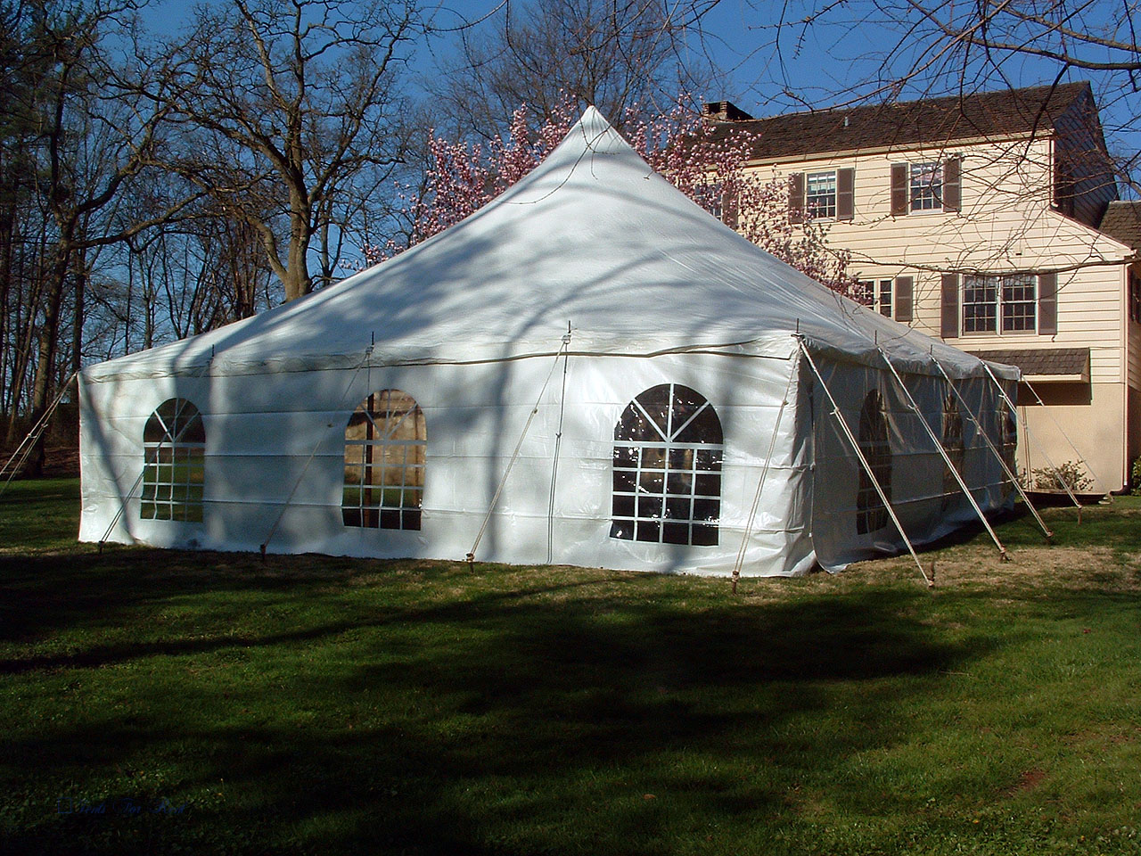 30x30 white tent with cathedral window sidewall