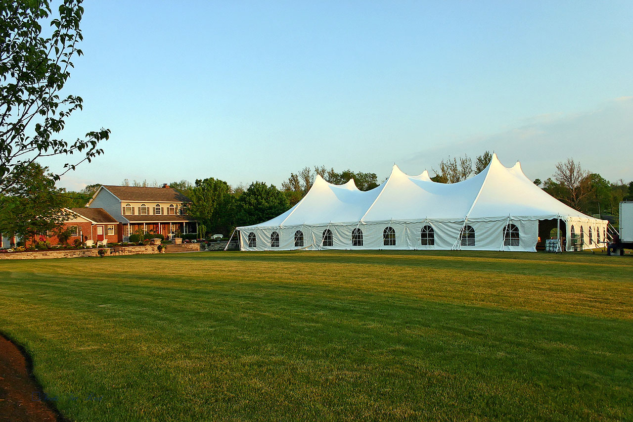60x100 white tent with cathedral window sidewall