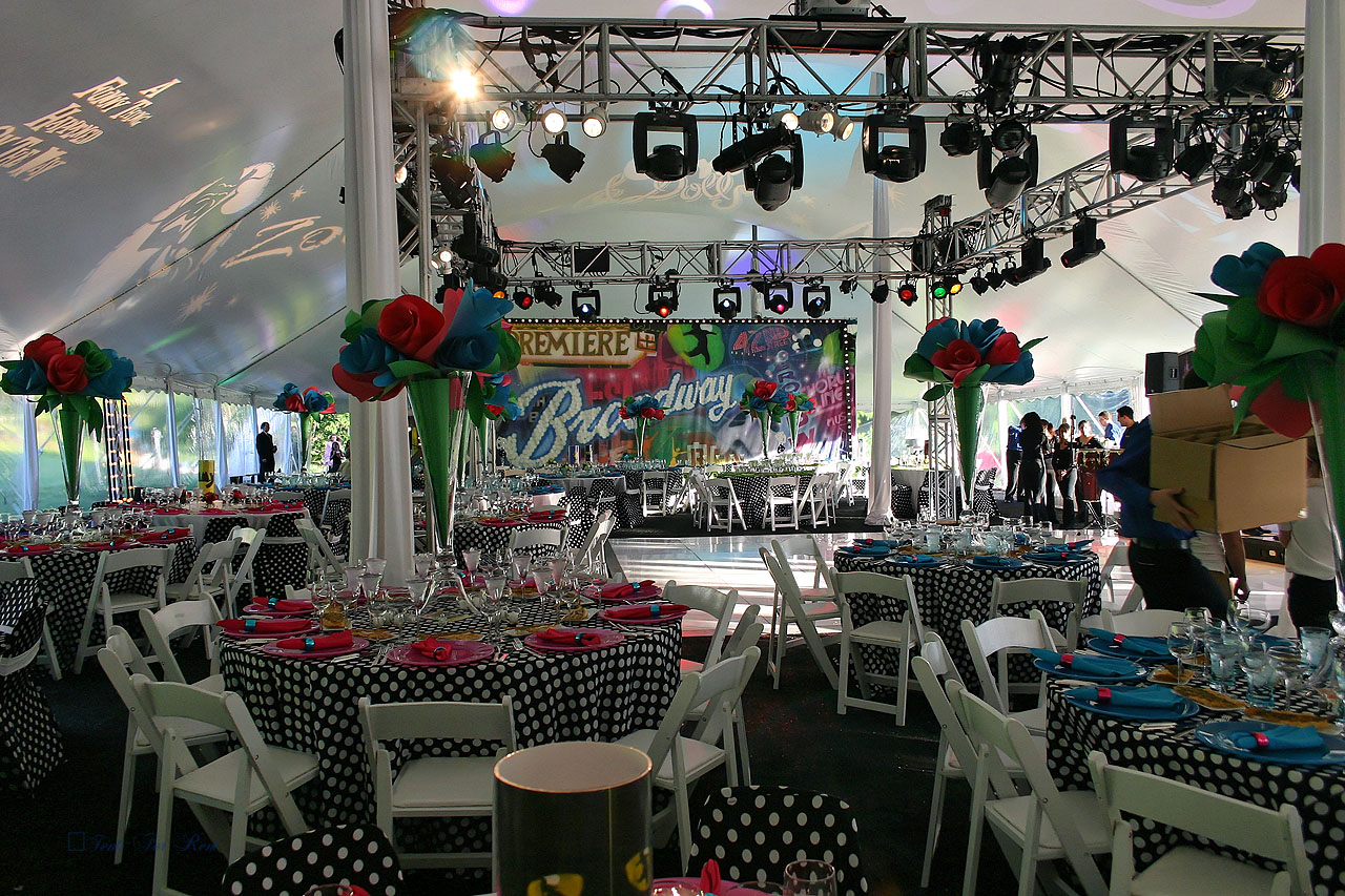 60x130 white party tent