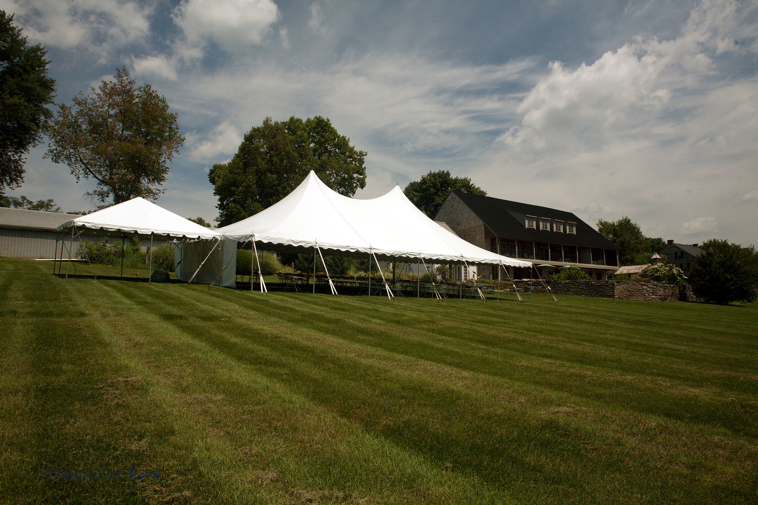 40x60 white tent