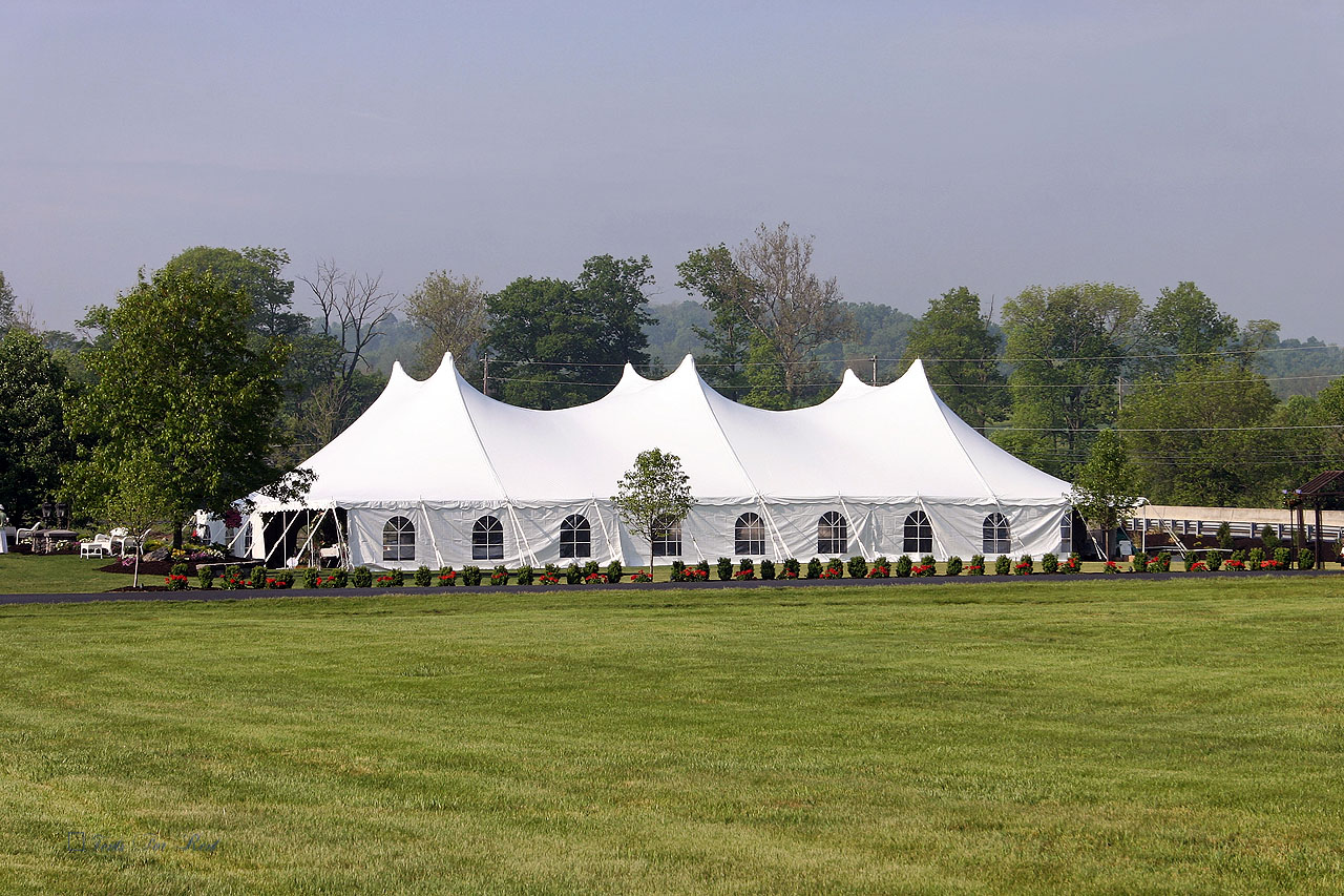 Wedding tent with cathedral window sidewalls