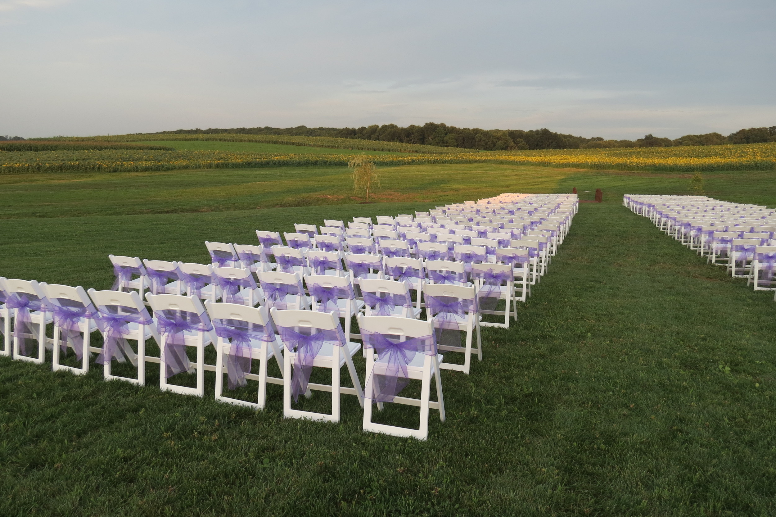 White padded chairs with purple sashes