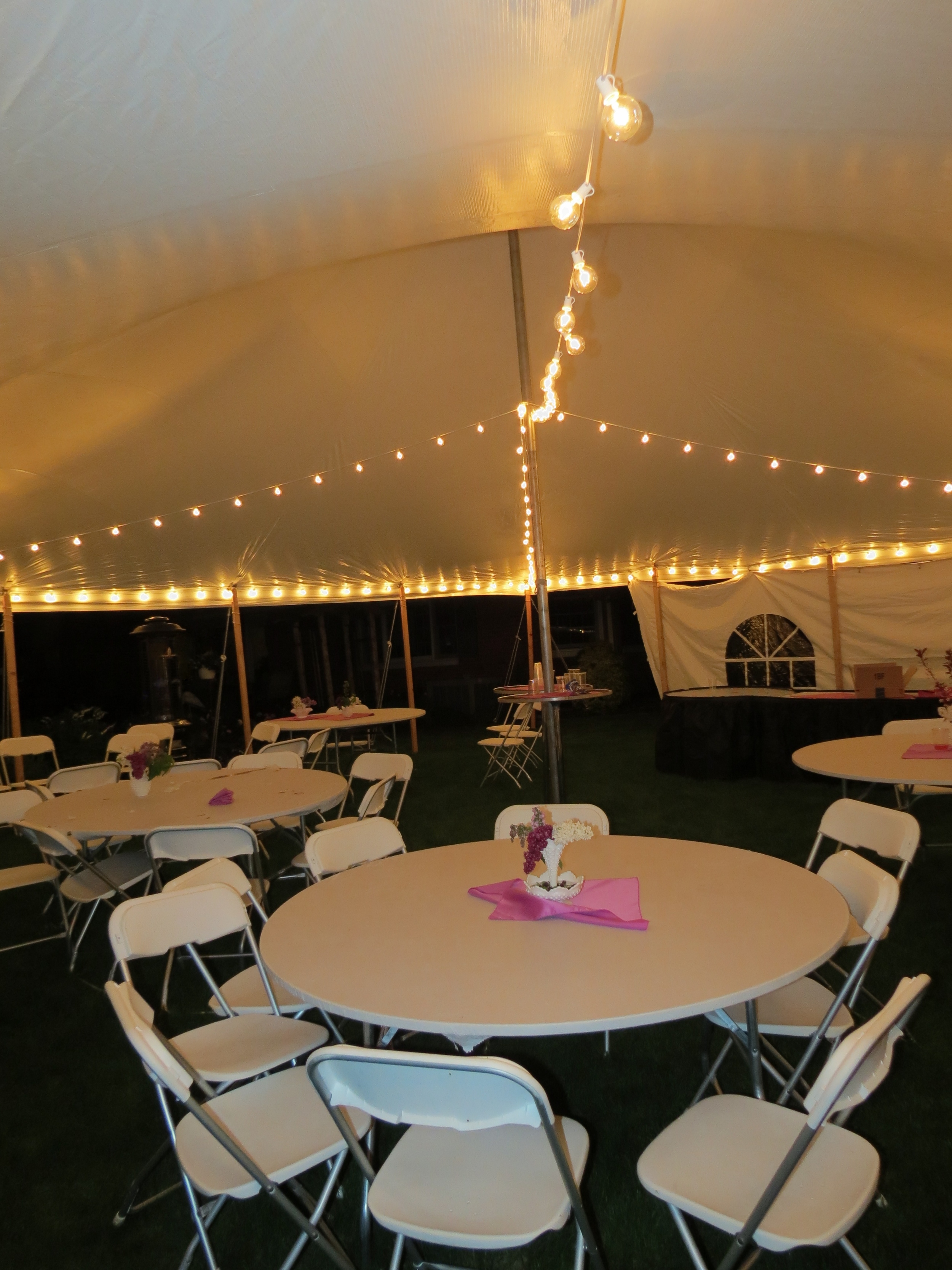 Party tent cafe lights with clear globe bulbs