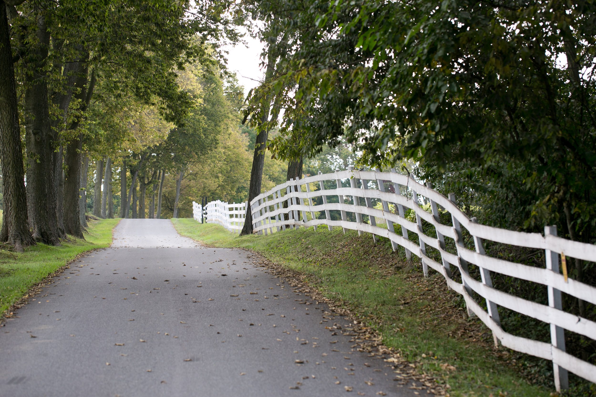  The rural setting is excellent for a romantic outdoor wedding tent 