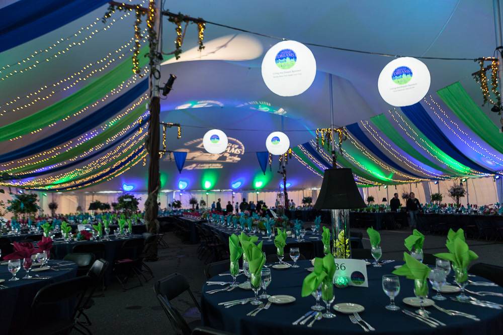Large tent for corporate function