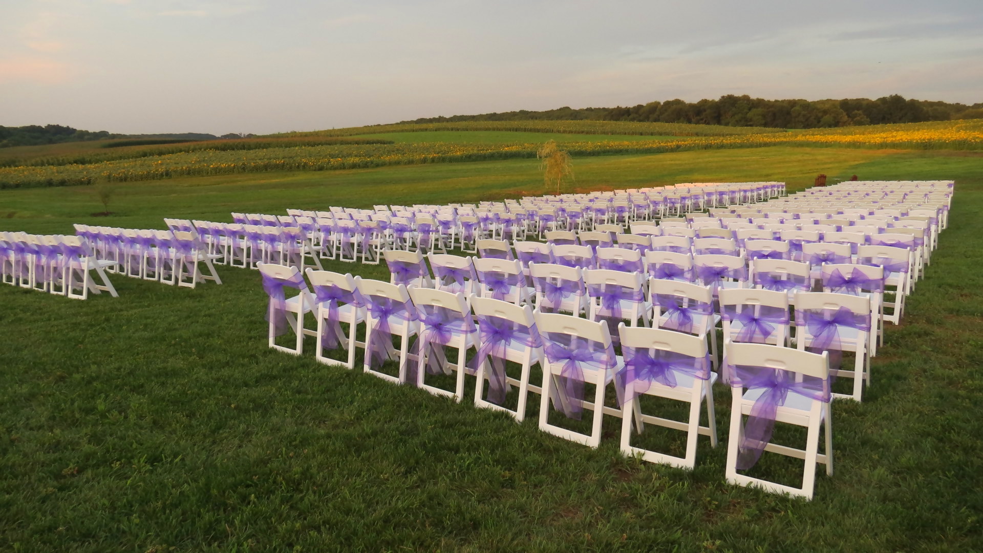White padded folding garden chairs for rent in Montgomery Co, MD