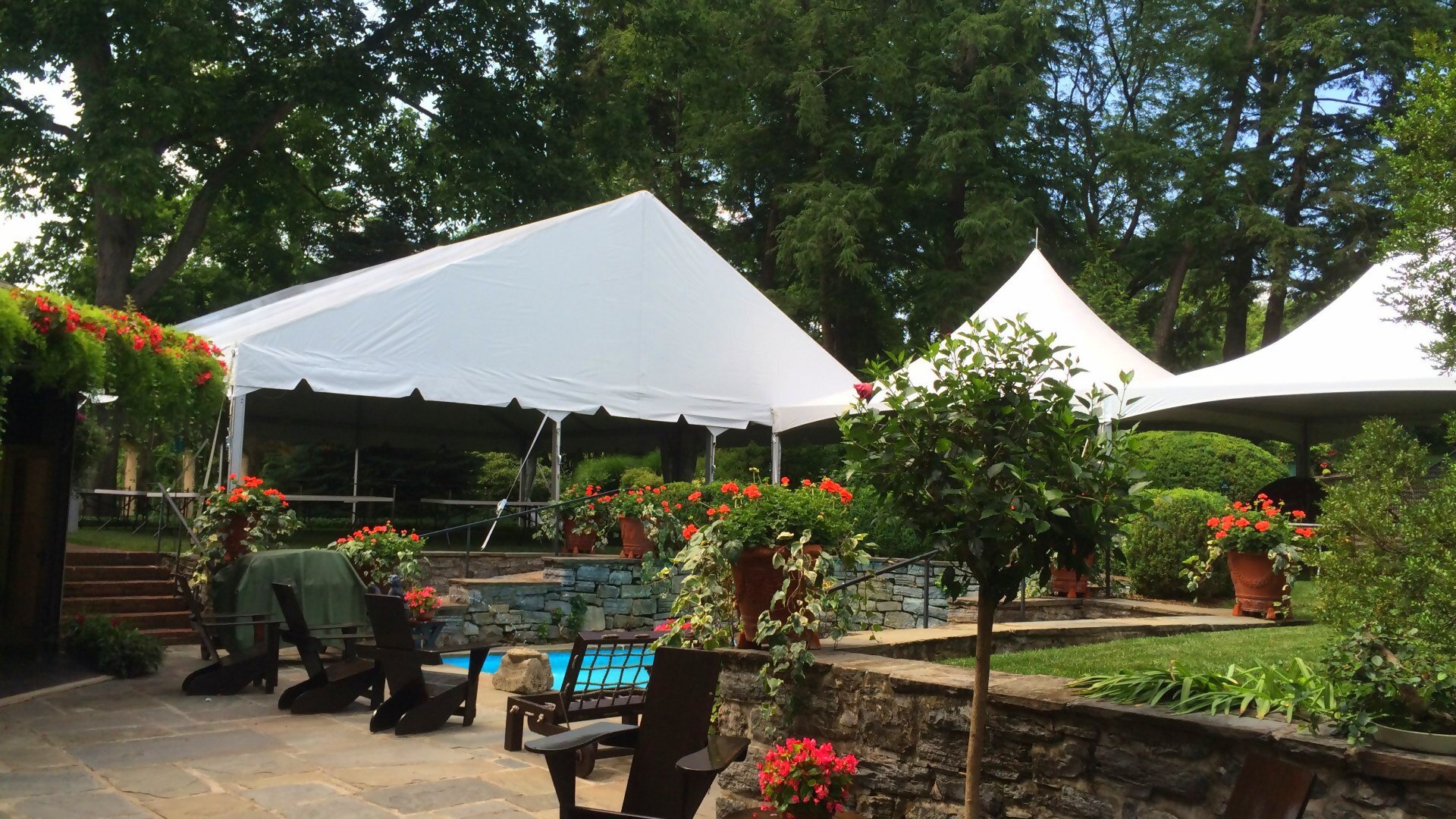 Backyard dining tent