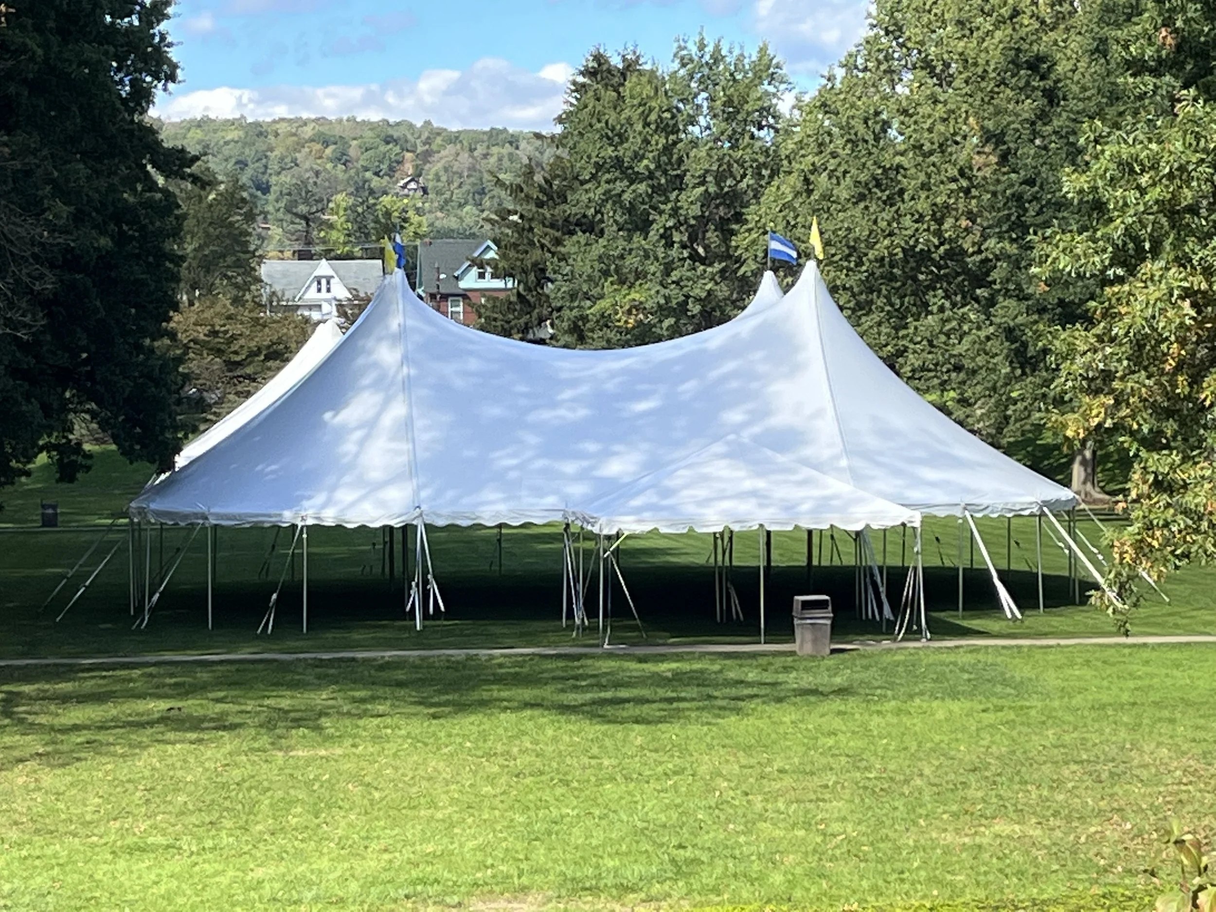 Think Outside the Rectangle