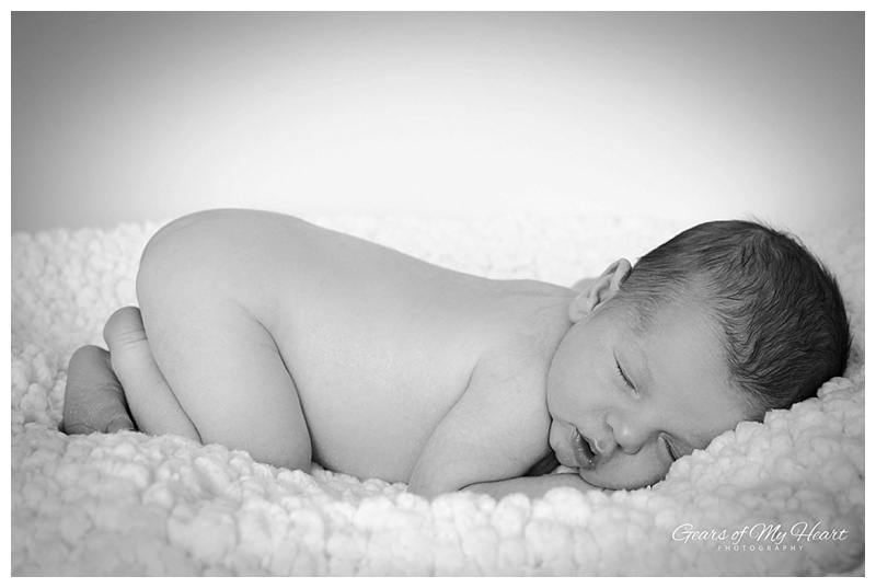 Gears-of-My-Heart-Photography-newborn-posed-on-blanket.jpg