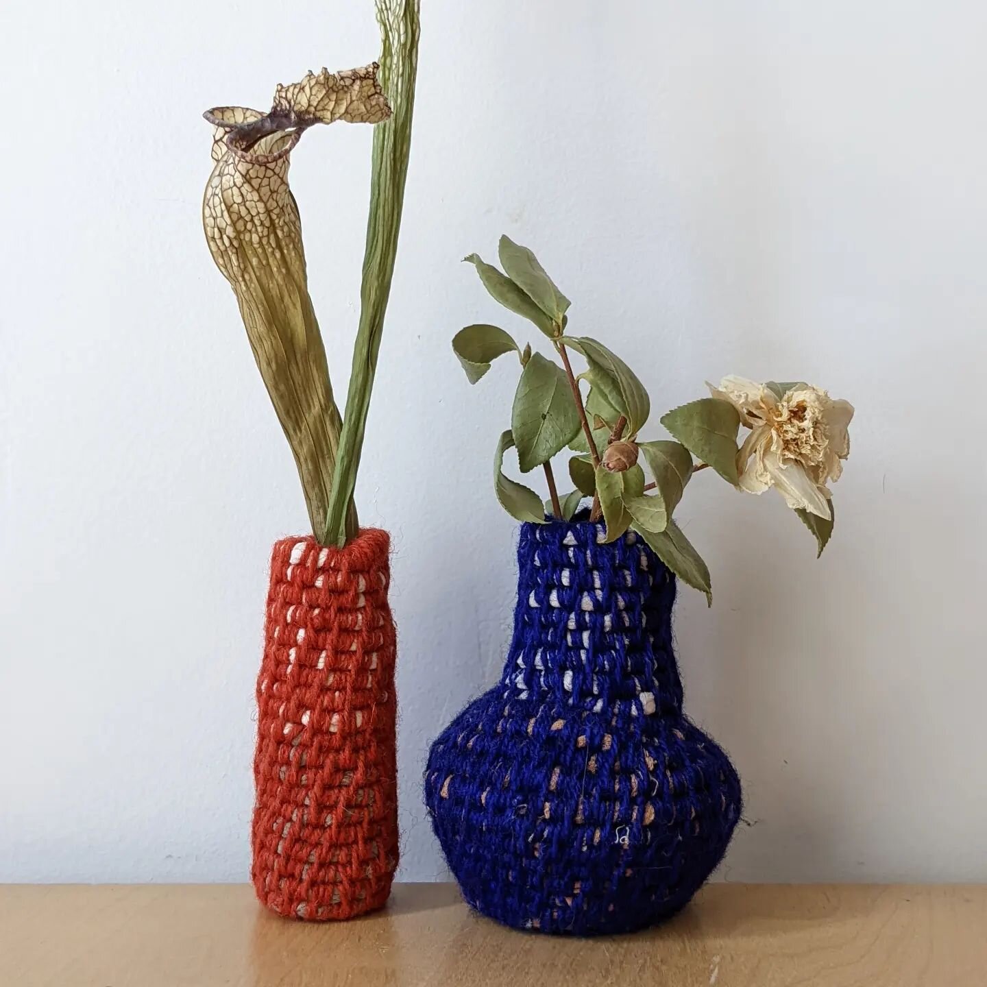 #wovenvessel #coilbasket #fiberart #recycledtextiles #pitcherplant #camelliasinensis