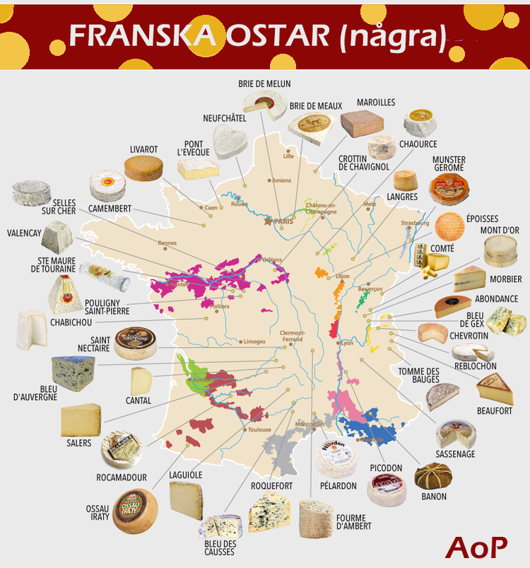 ost och vinprovning med franska viner i stockholm