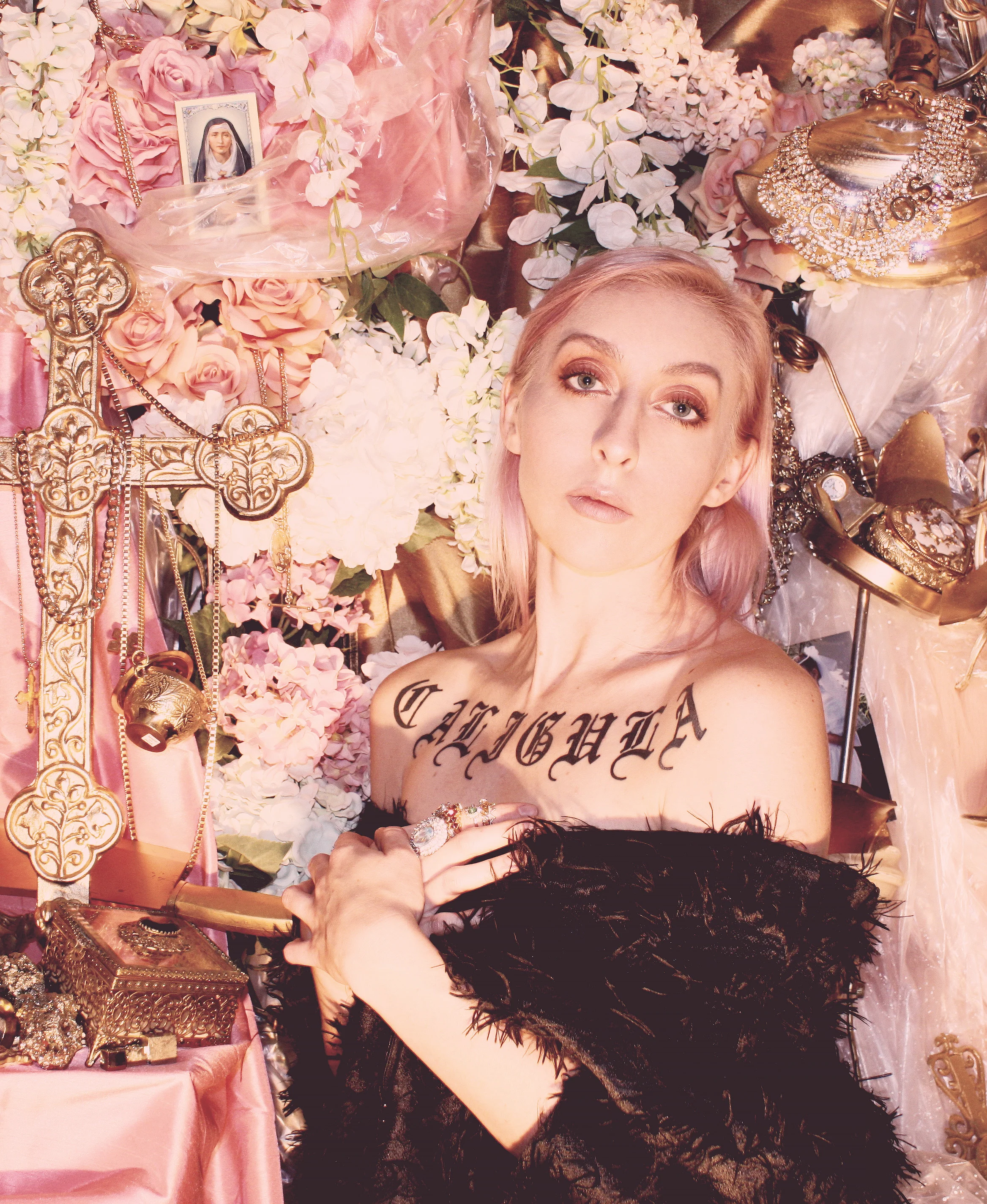 LINGUA IGNOTA image supplied by the artist hi res.jpg
