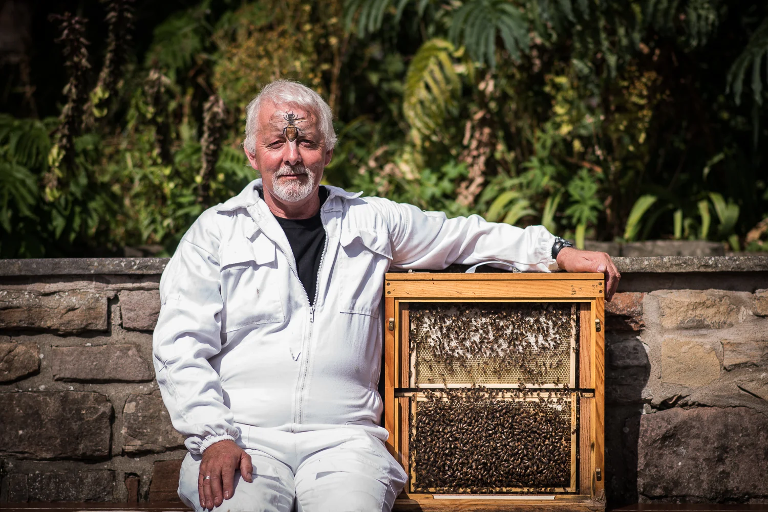 Brian Pool - Beekeeper in Residence - Edinburgh Zoo - Sat 29 August 2015 -9765 (photo credit - Andy Catlin).jpg