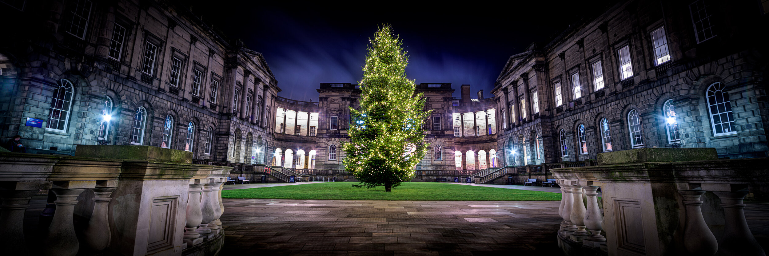 Christmas Trees of Edinburgh Project • University of Edinburgh
