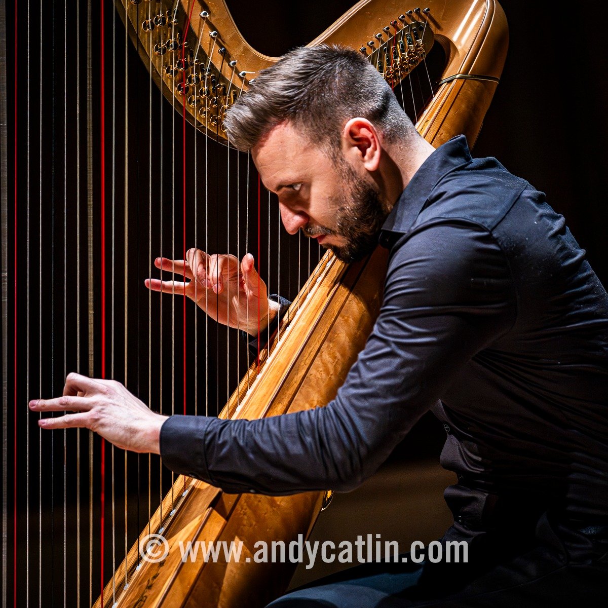 Virtuosic, dynamic and sensitive @joelvonlerber harp performance today at @rwcmd 👏👏👏