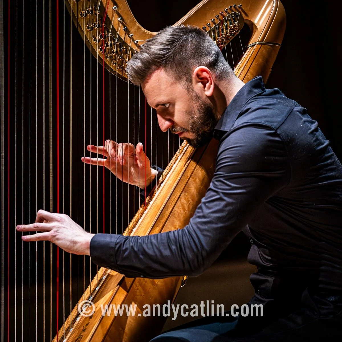Virtuosic, dynamic and sensitive @joelvonlerber harp performance today at @rwcmd 👏👏👏