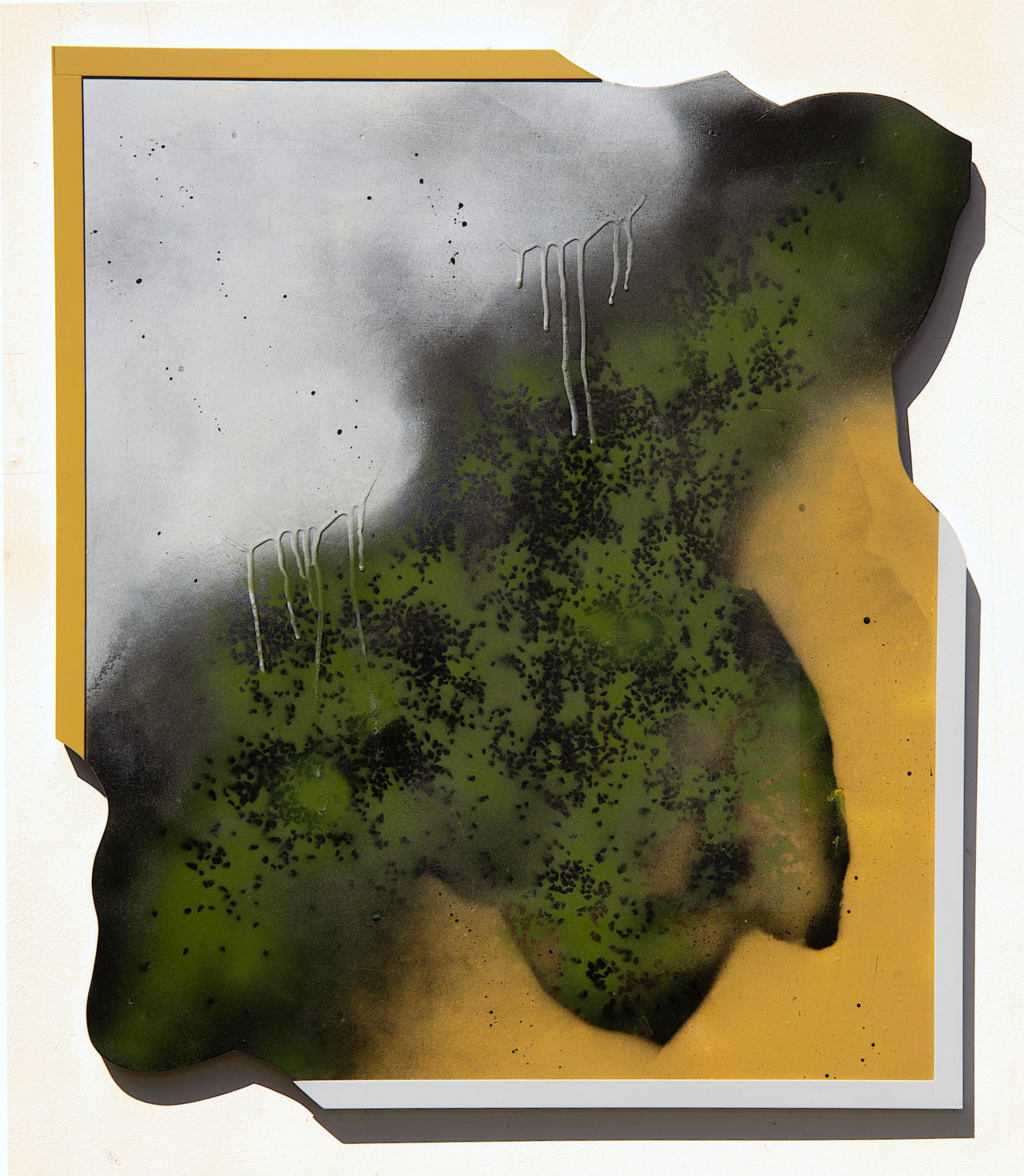 Metamorphic Toon 2024