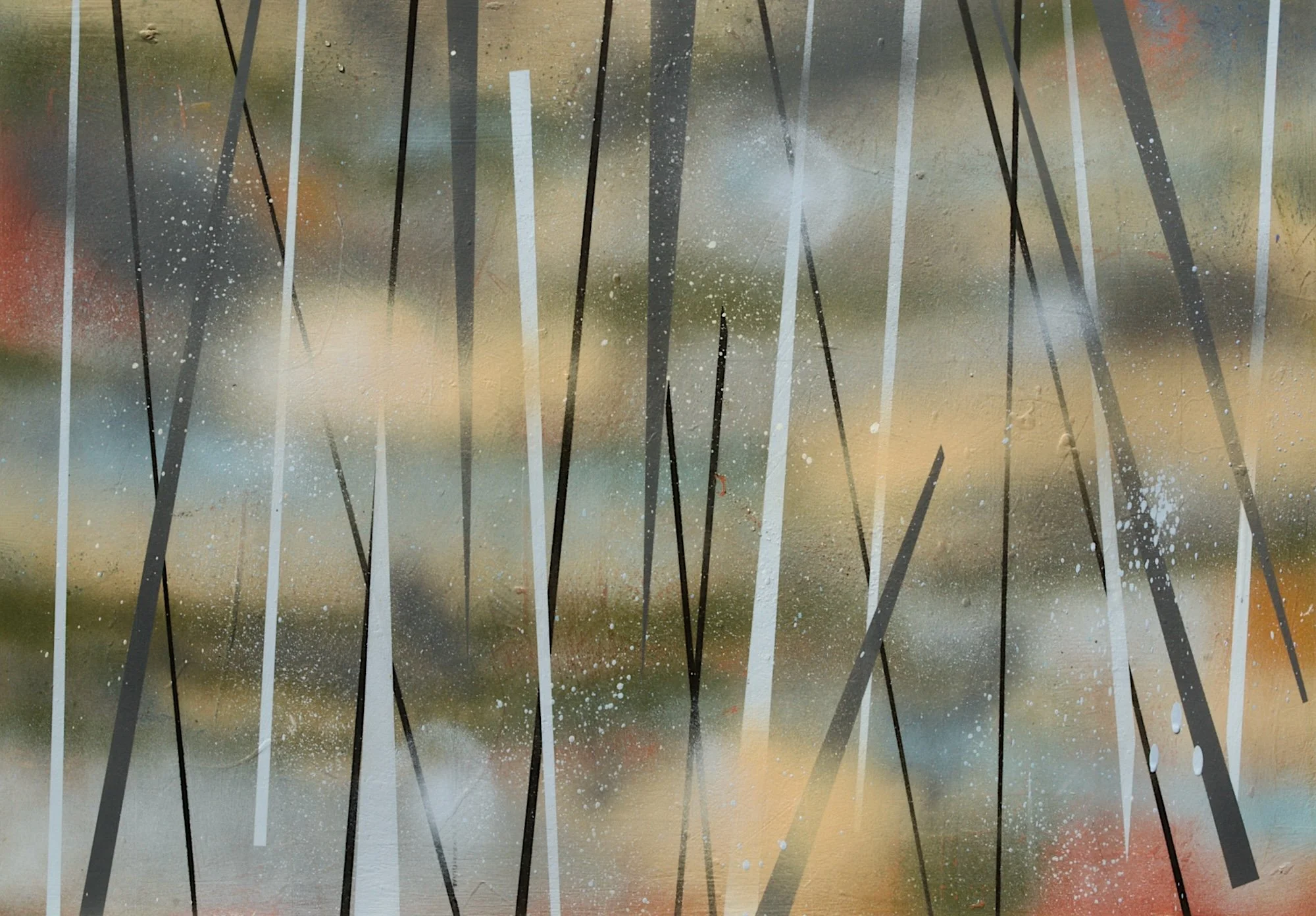 Jupiters' Toon  2024