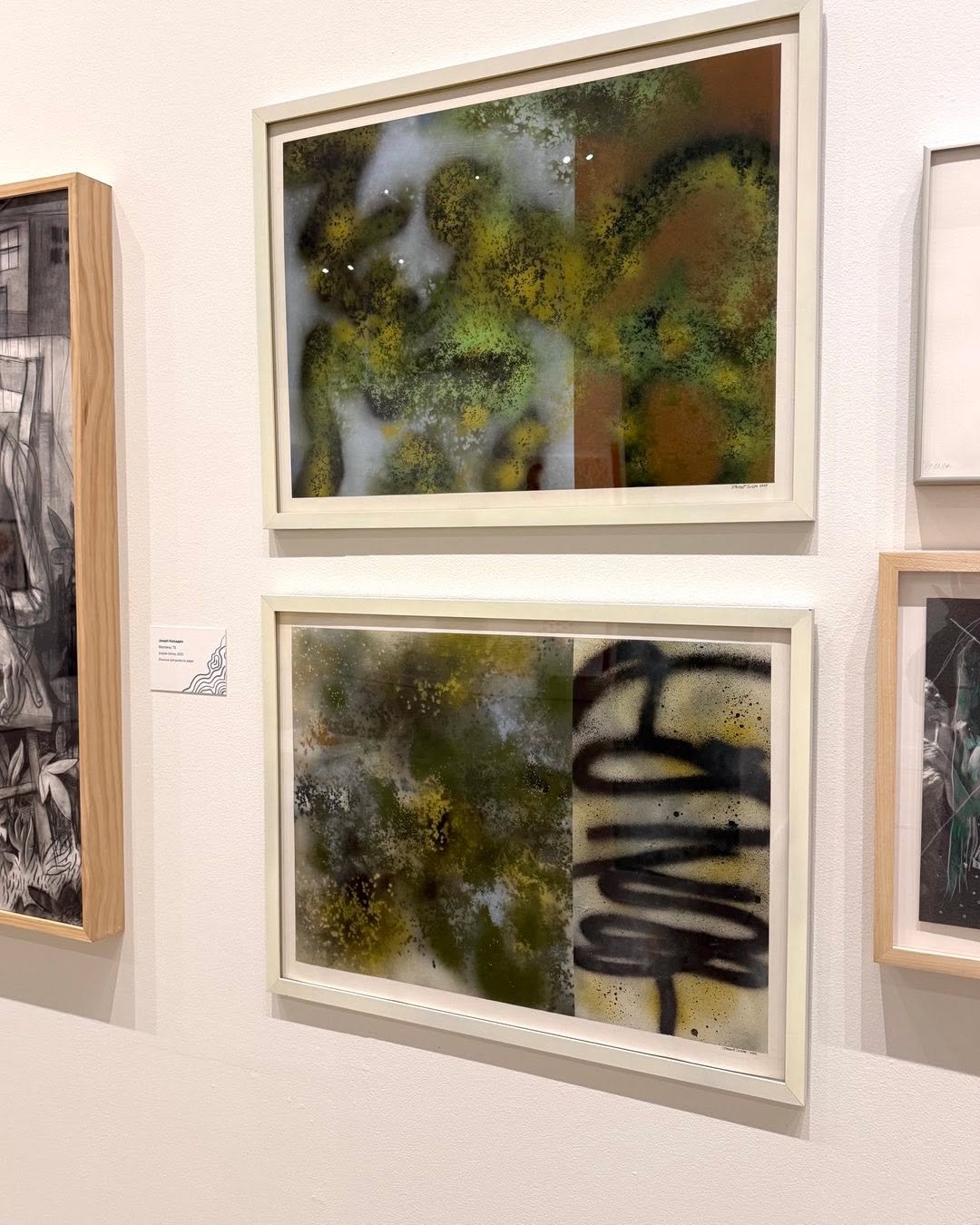 My paintings are currently on view at the Cimarron National Works on Paper.  Oklahoma State University Museum of Art . Closes December 19.
&ldquo;Deep Seated Toon&rdquo; (22&rdquo;x30&rdquo;)
&ldquo;Embryonic Toon&rdquo; (22&rdquo;x30&rdquo;)