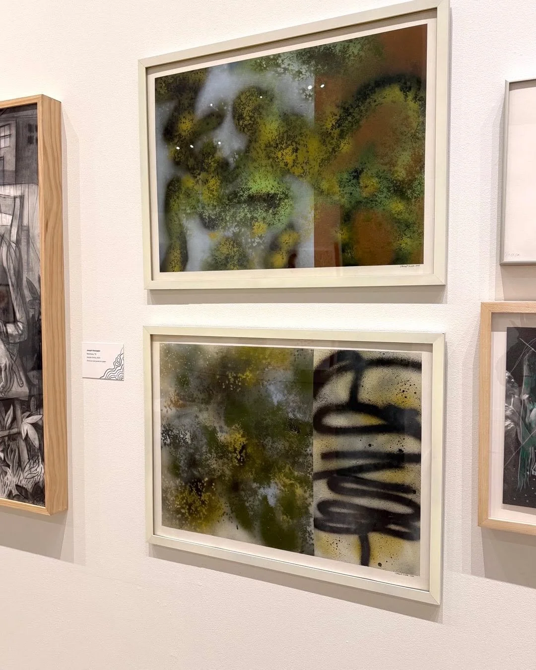 My paintings are currently on view at the Cimarron National Works on Paper.  Oklahoma State University Museum of Art . Closes December 19.
&ldquo;Deep Seated Toon&rdquo; (22&rdquo;x30&rdquo;)
&ldquo;Embryonic Toon&rdquo; (22&rdquo;x30&rdquo;)