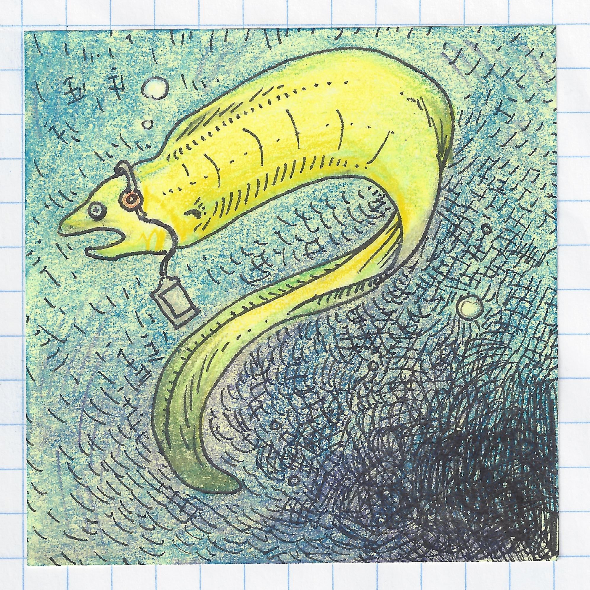green moray eel really into pavement IN COLOR 1.jpg