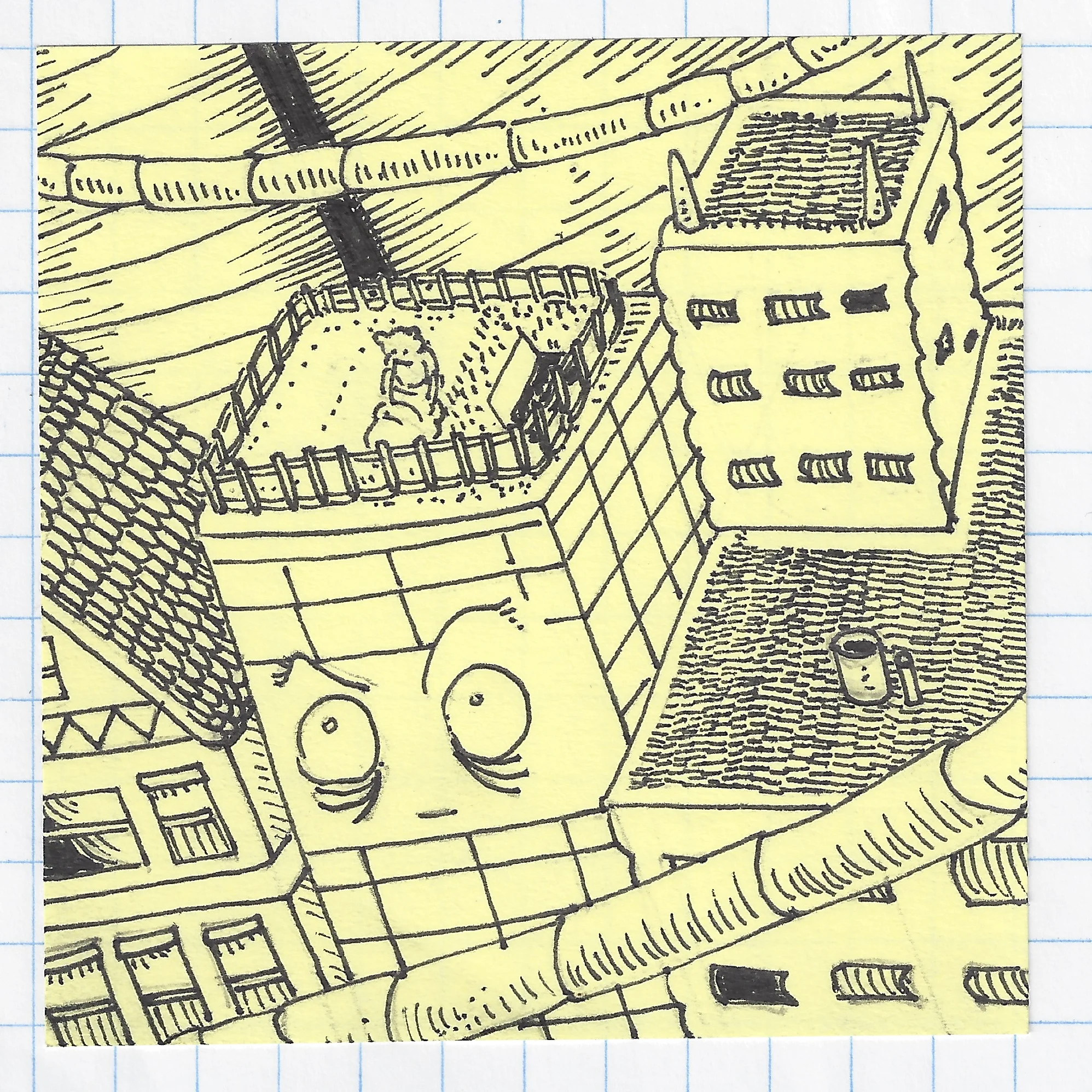 the building wakes up to a bear mowing its rooftop lawn.jpg