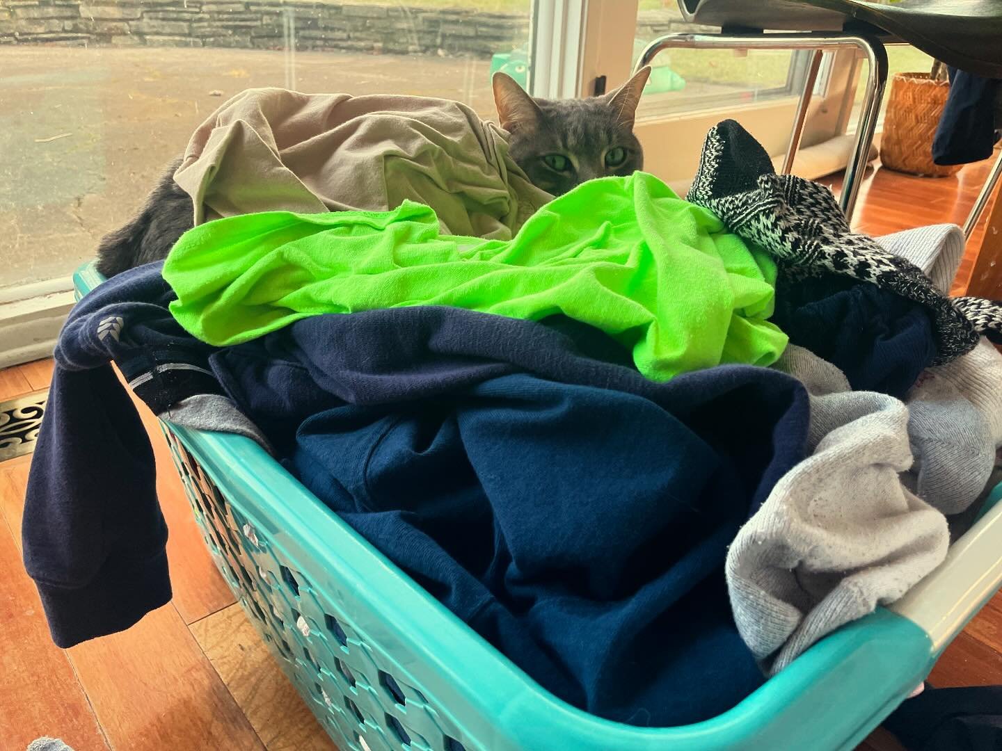 folding ALL the laundry