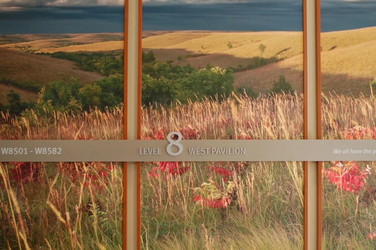 LITTLE COMPANY OF MARY HOSPITAL