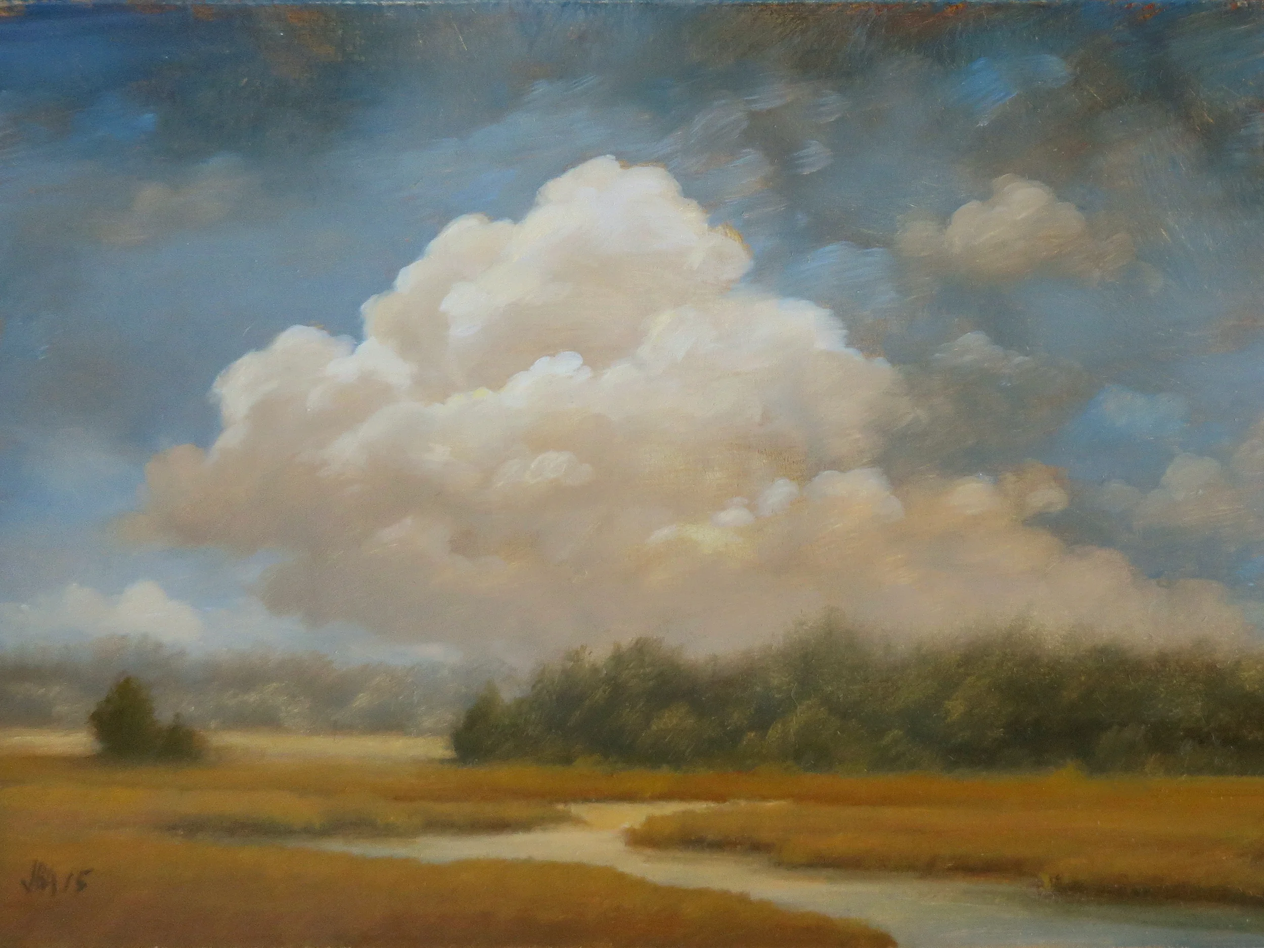Clouds over the marsh.jpg