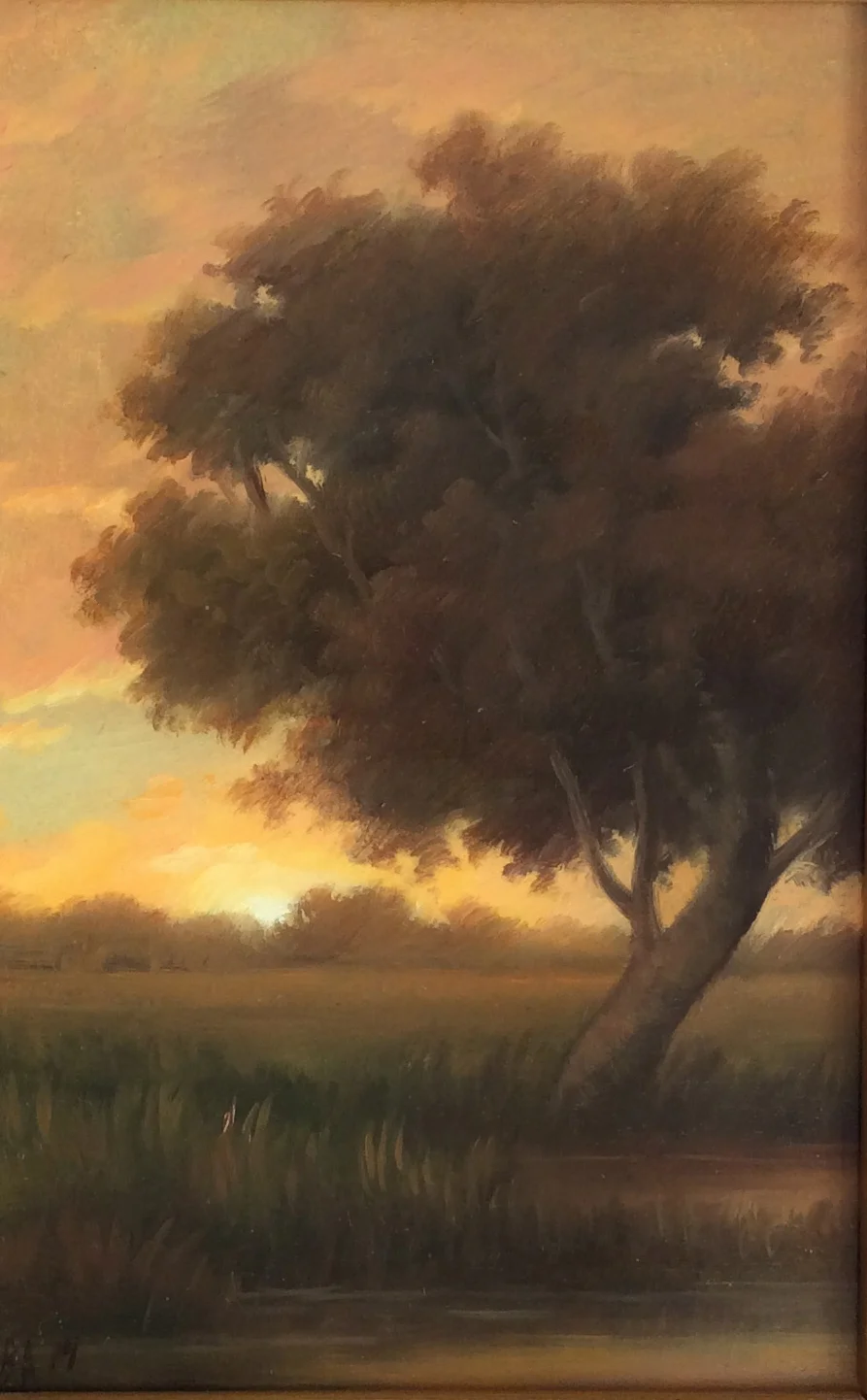 Tree At Sunset